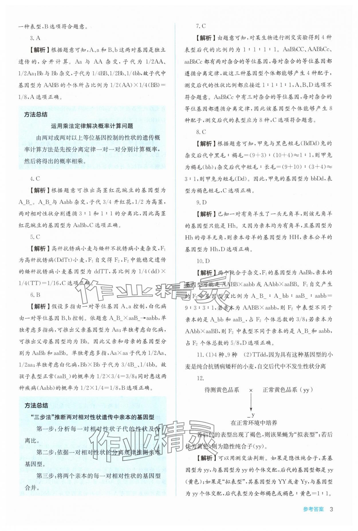 2025年人教金學典同步解析與測評高中生物必修2人教版 第3頁