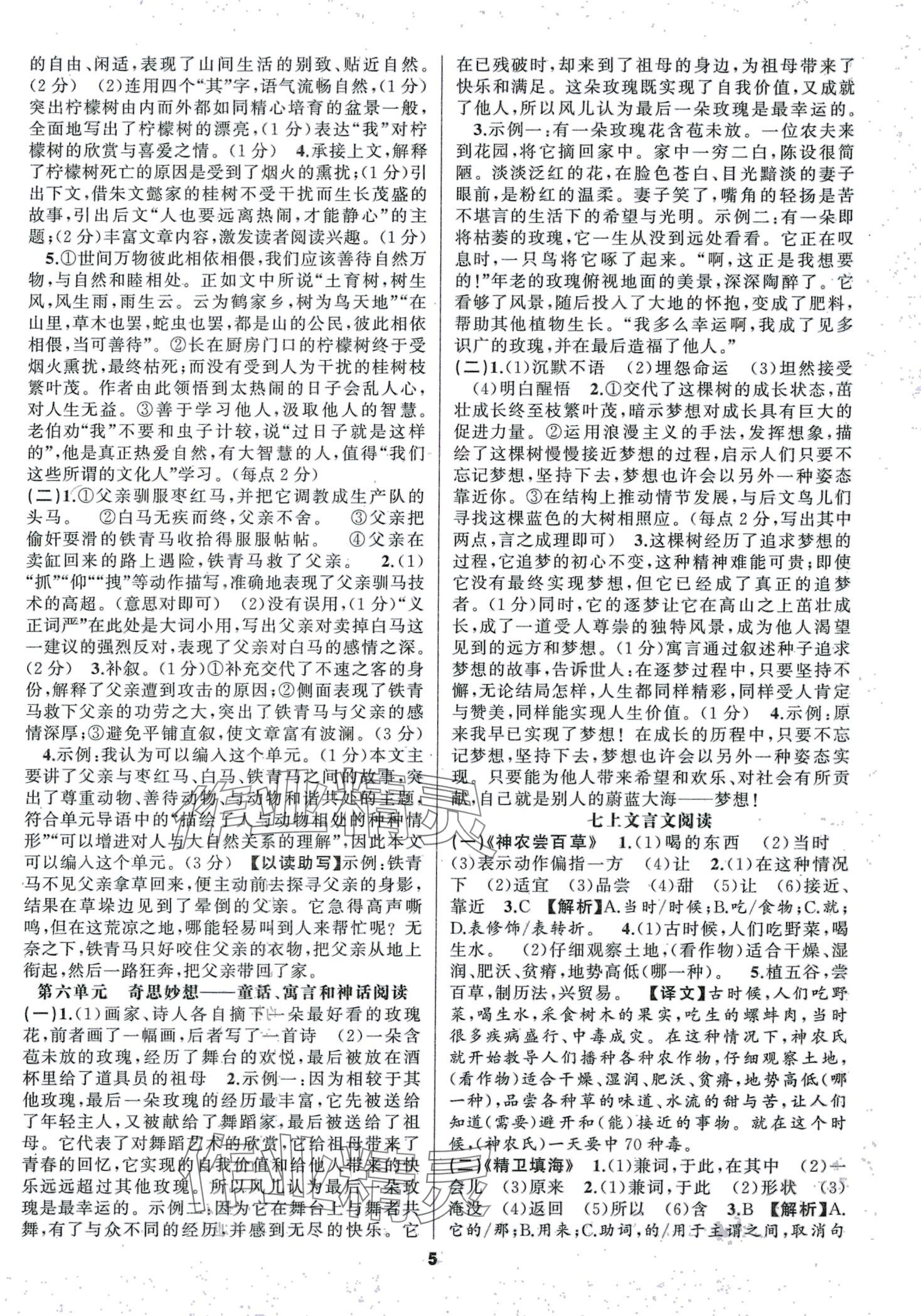 2024年语文花开现代文阅读语文上册人教版&nbsp;第5页