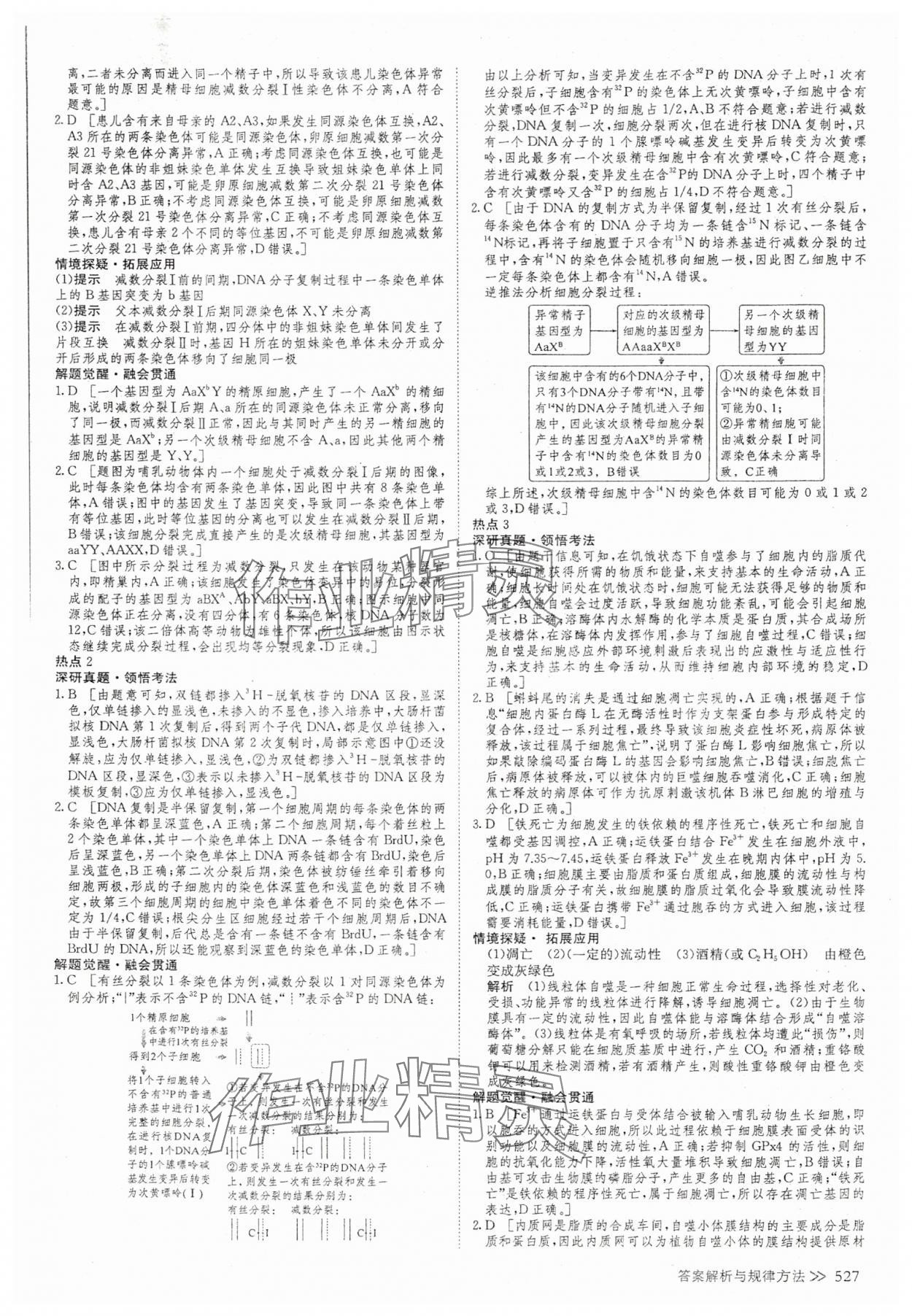 2025年創新設計高考總復習高中生物 參考答案第21頁