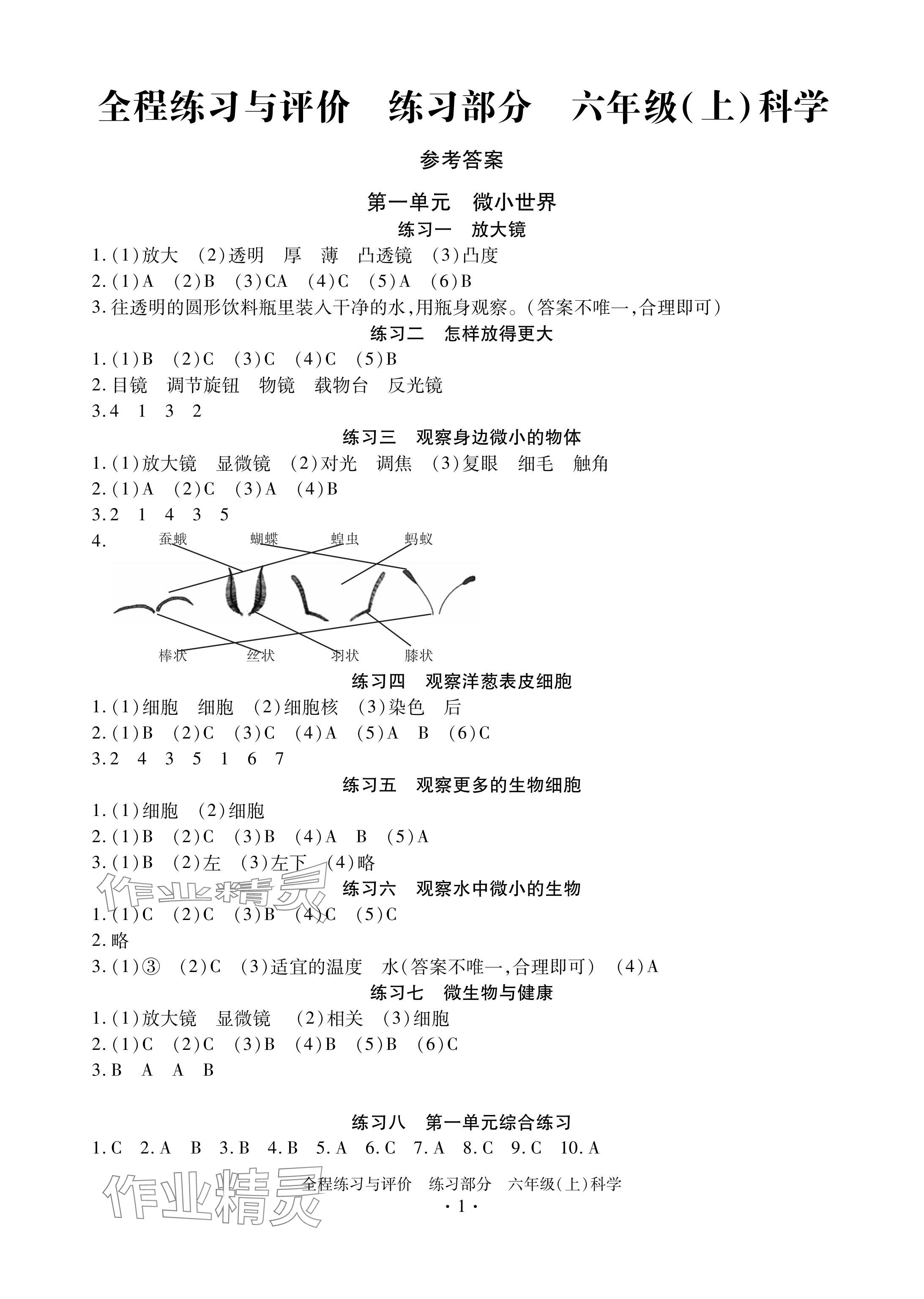 2024年全程练习与评价六年级科学上册教科版 参考答案第1页