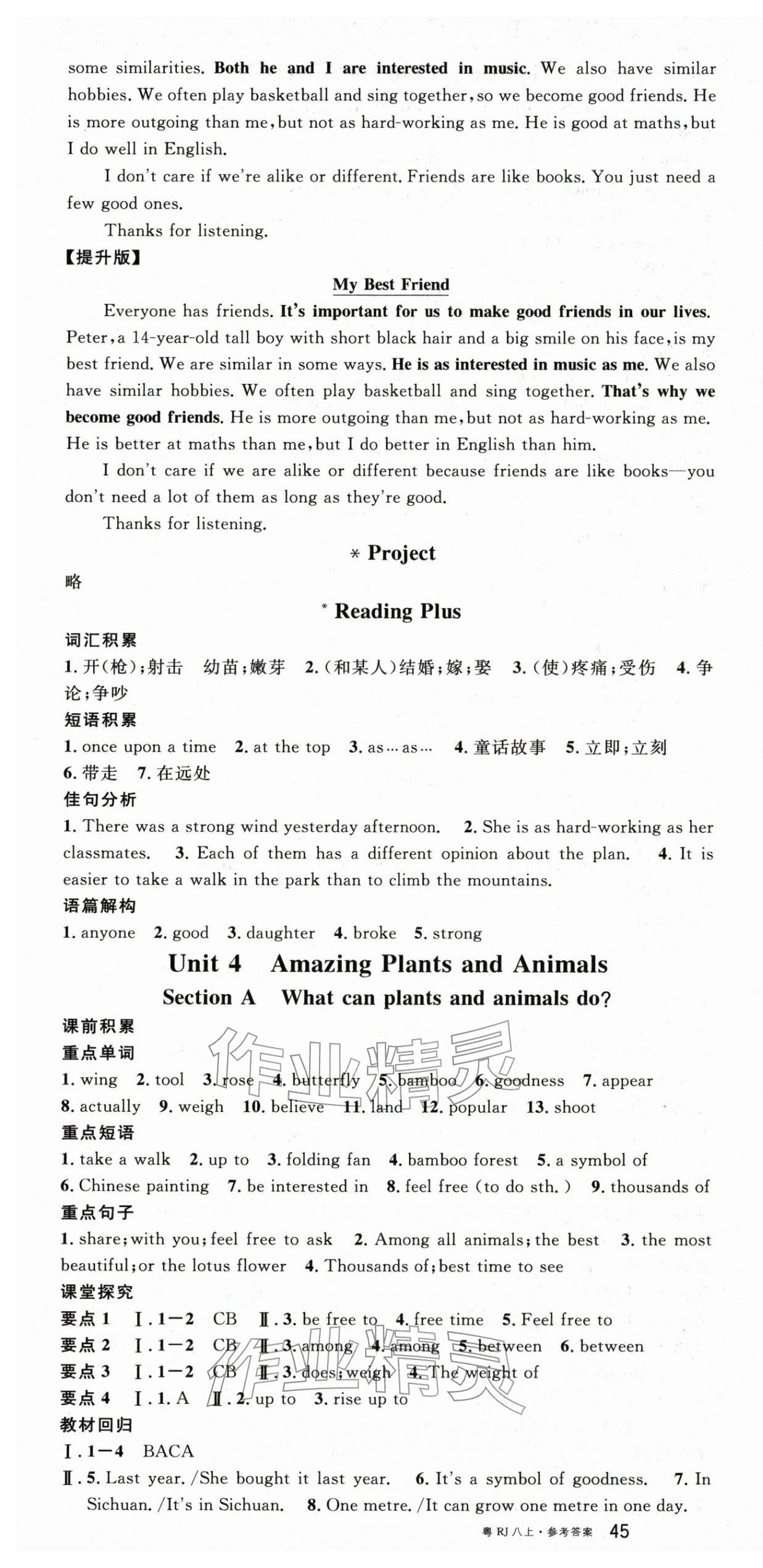 2025年名校课堂八年级英语上册人教版4广东专版 第7页