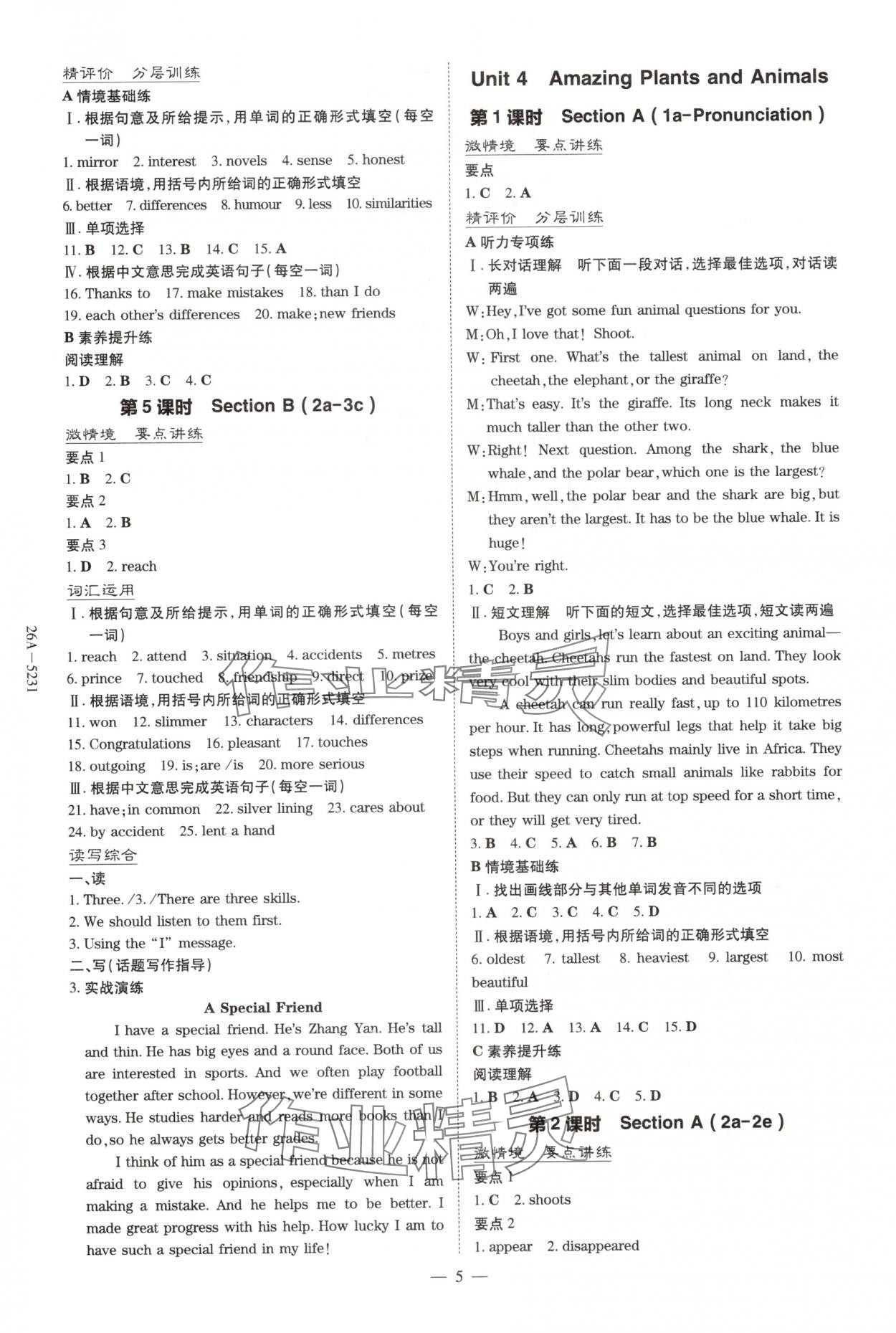 2025年初中同步学习导与练导学探究案八年级英语上册人教版 第5页