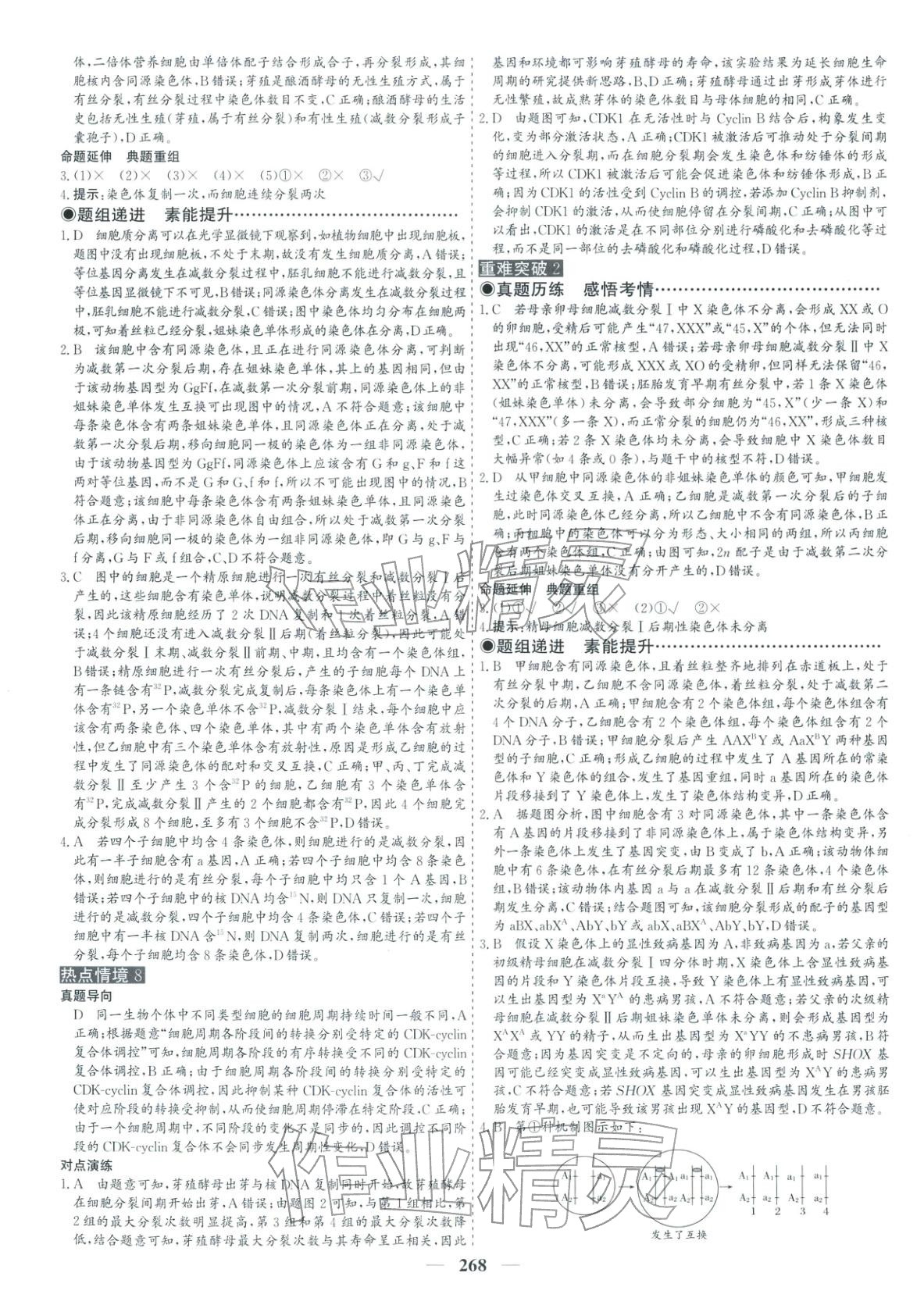 2026年优化探究高考专题复习生物&nbsp;参考答案第10页