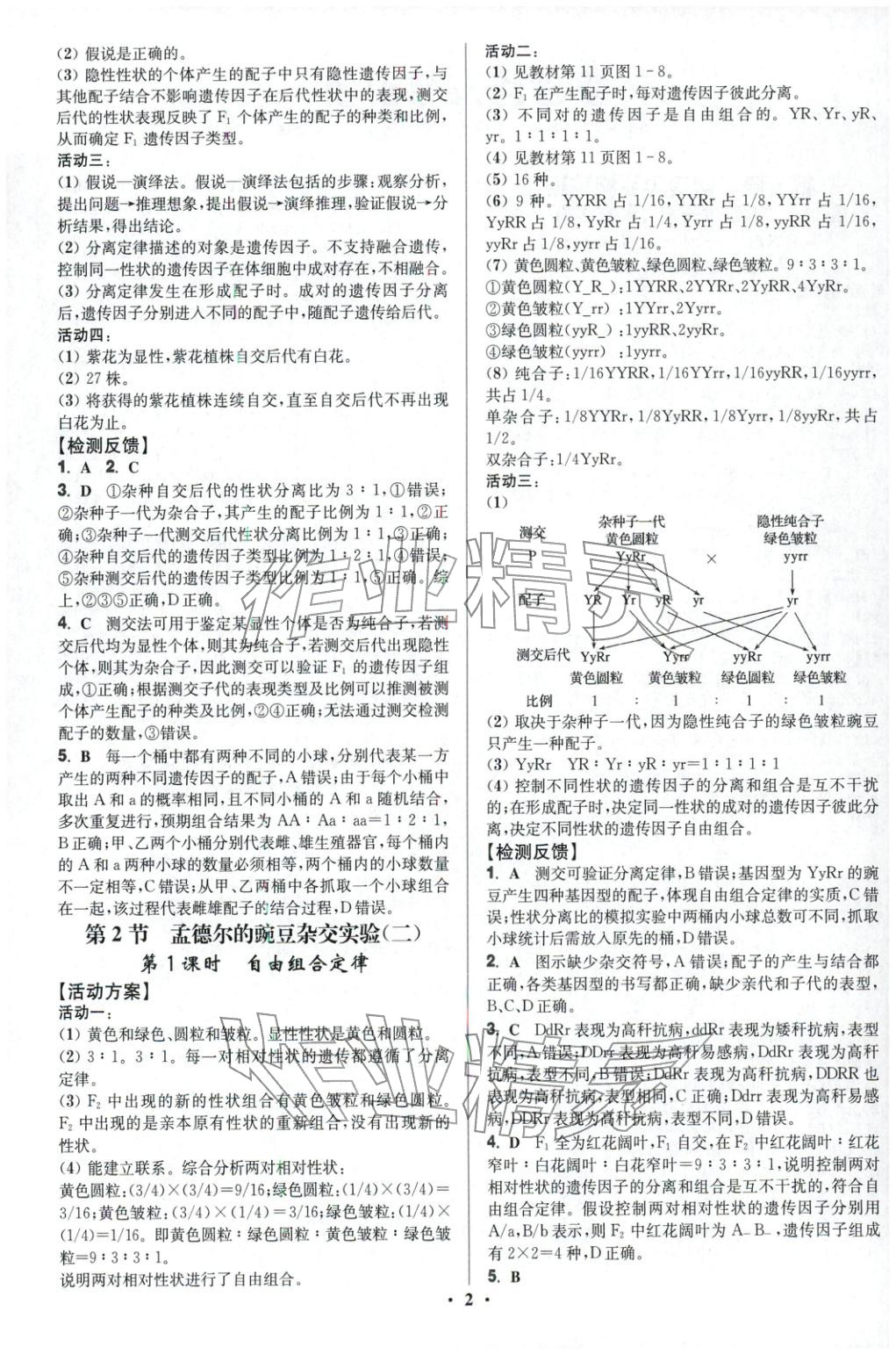2025年活动单导学课程高中生物必修第二册人教版&nbsp;第2页