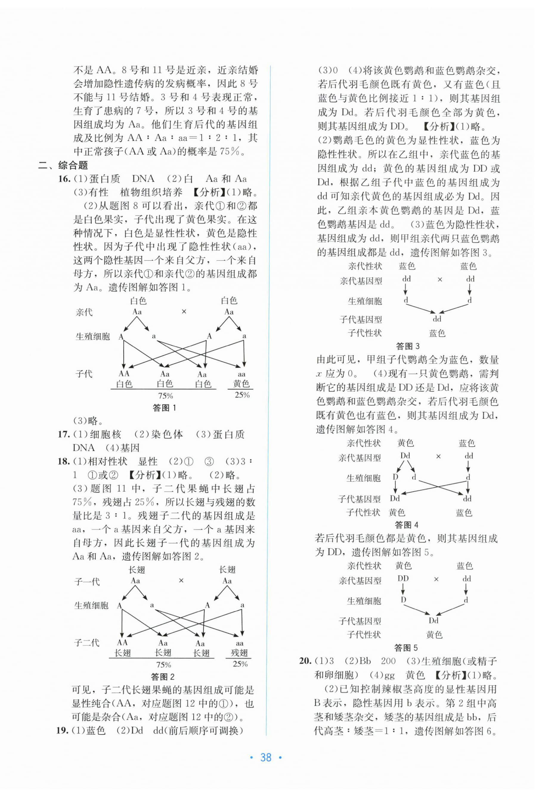 2026年全程检测单元测试卷八年级生物下册冀少版&nbsp;第2页
