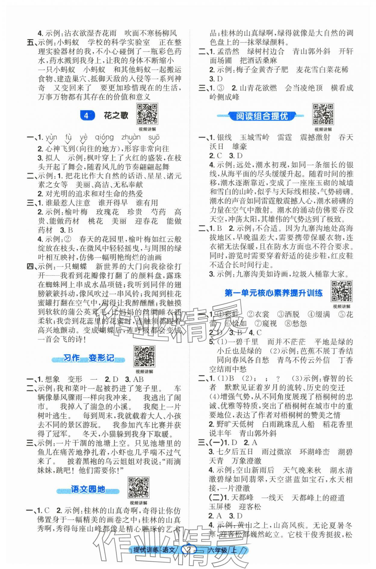 2025年阳光同学课时提优训练六年级语文上册人教版 第2页
