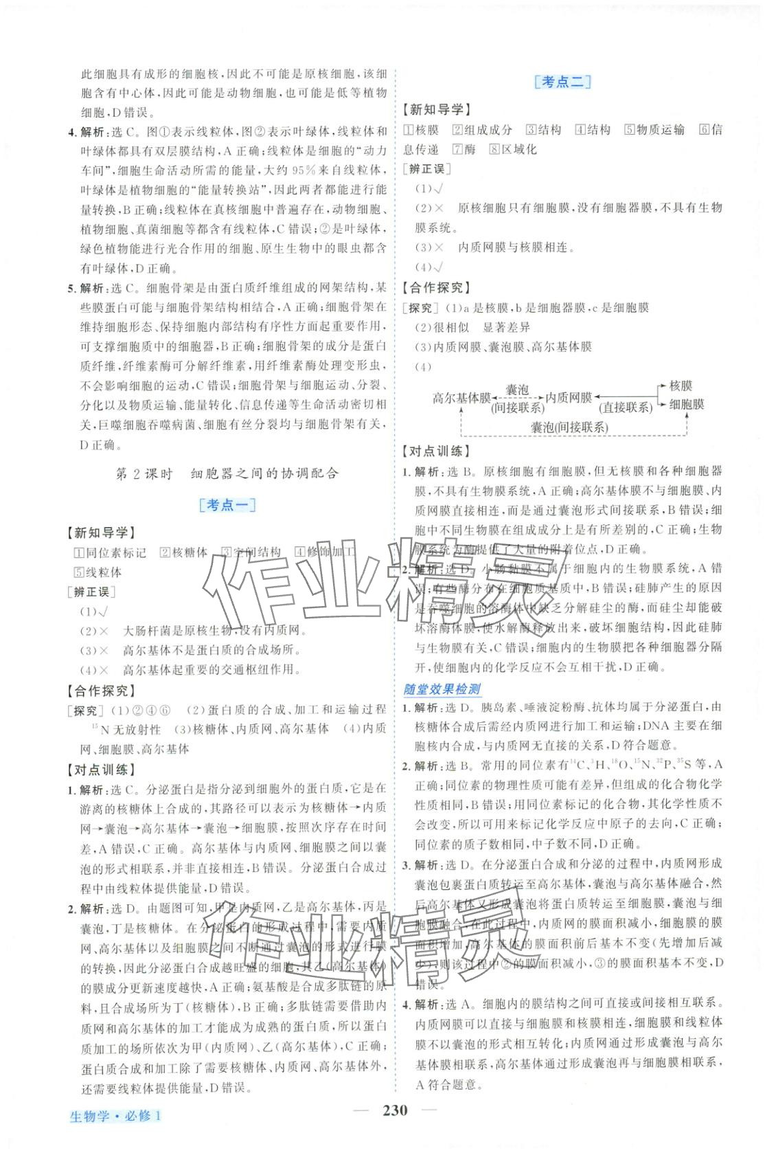 2025年新坐標(biāo)同步練習(xí)高中生物必修第一冊人教版&nbsp;第10頁