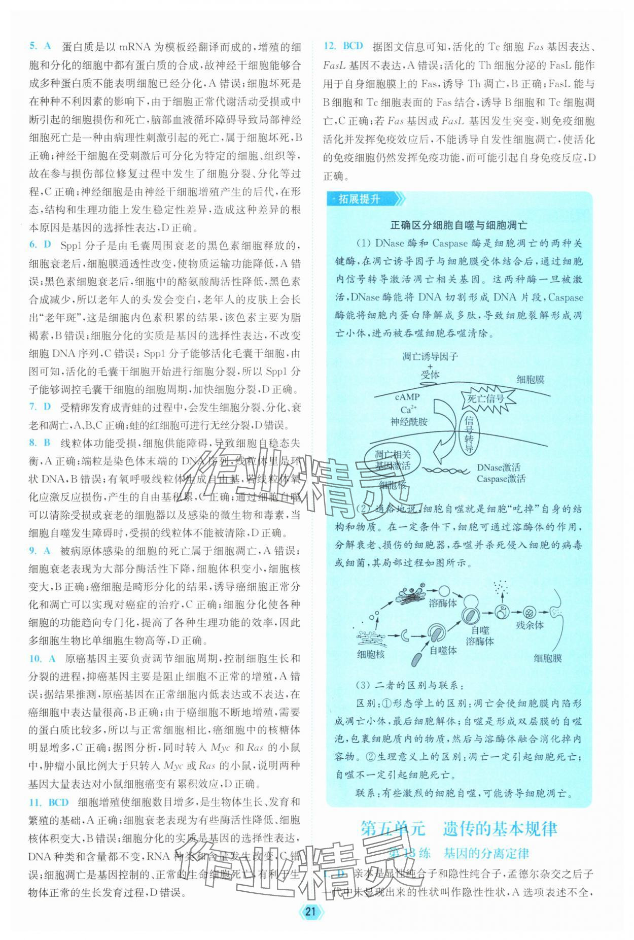 2025年南通小題天天練高中生物&nbsp;參考答案第21頁(yè)