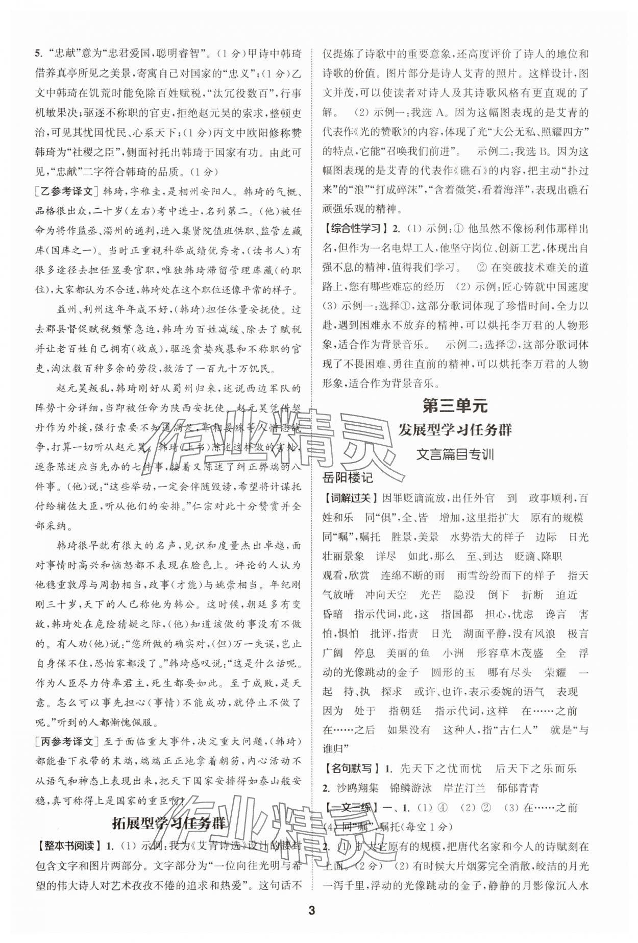 2025年拔尖特訓(xùn)九年級(jí)語文人教版 第3頁