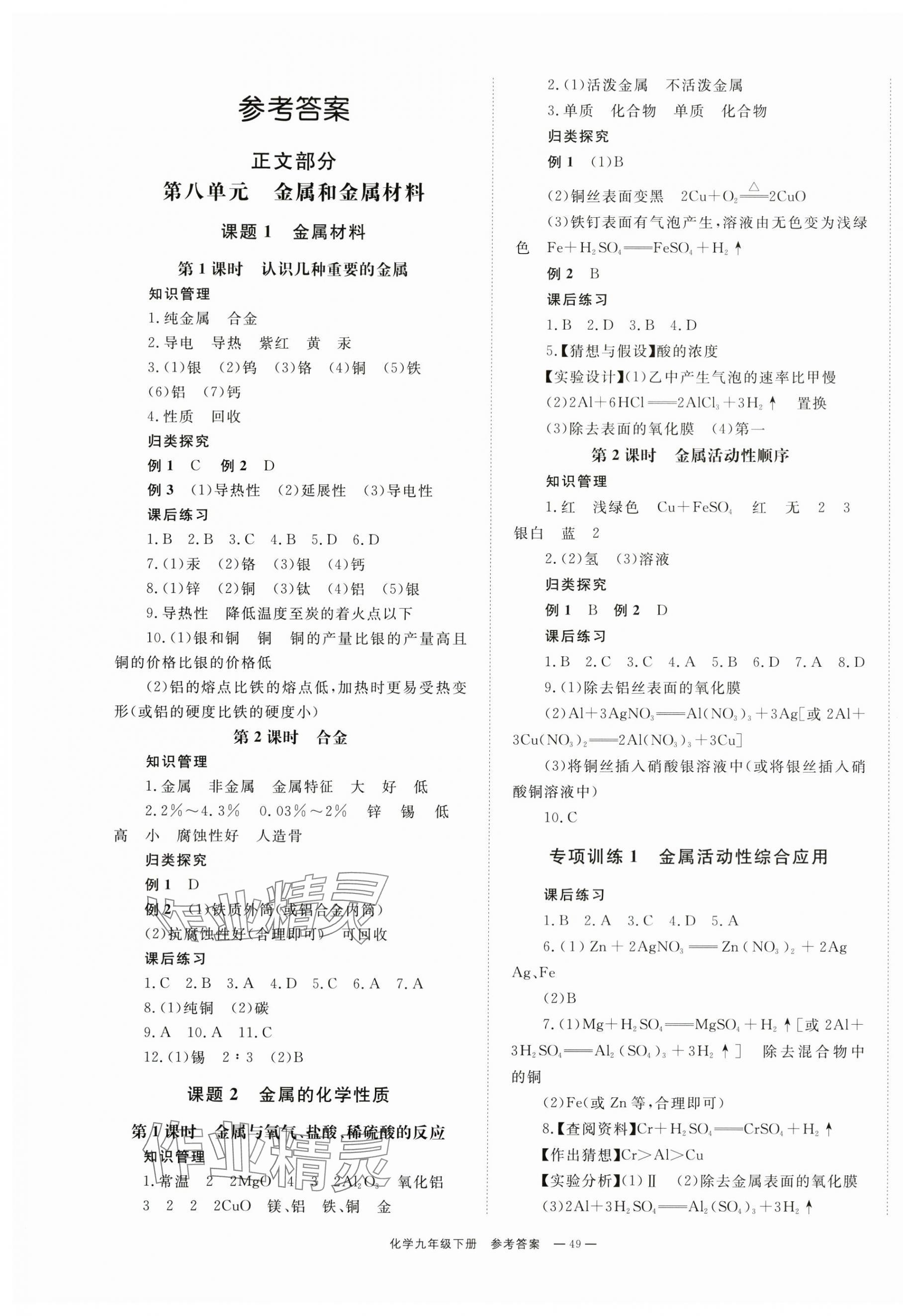 2024年全效學習同步學練測九年級化學下冊人教版 第1頁