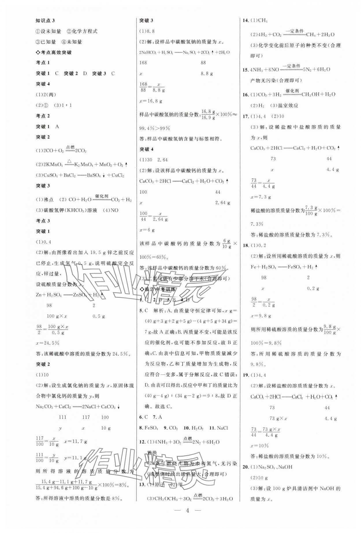 2025年全程导航初中总复习化学人教版临沂专版 第4页