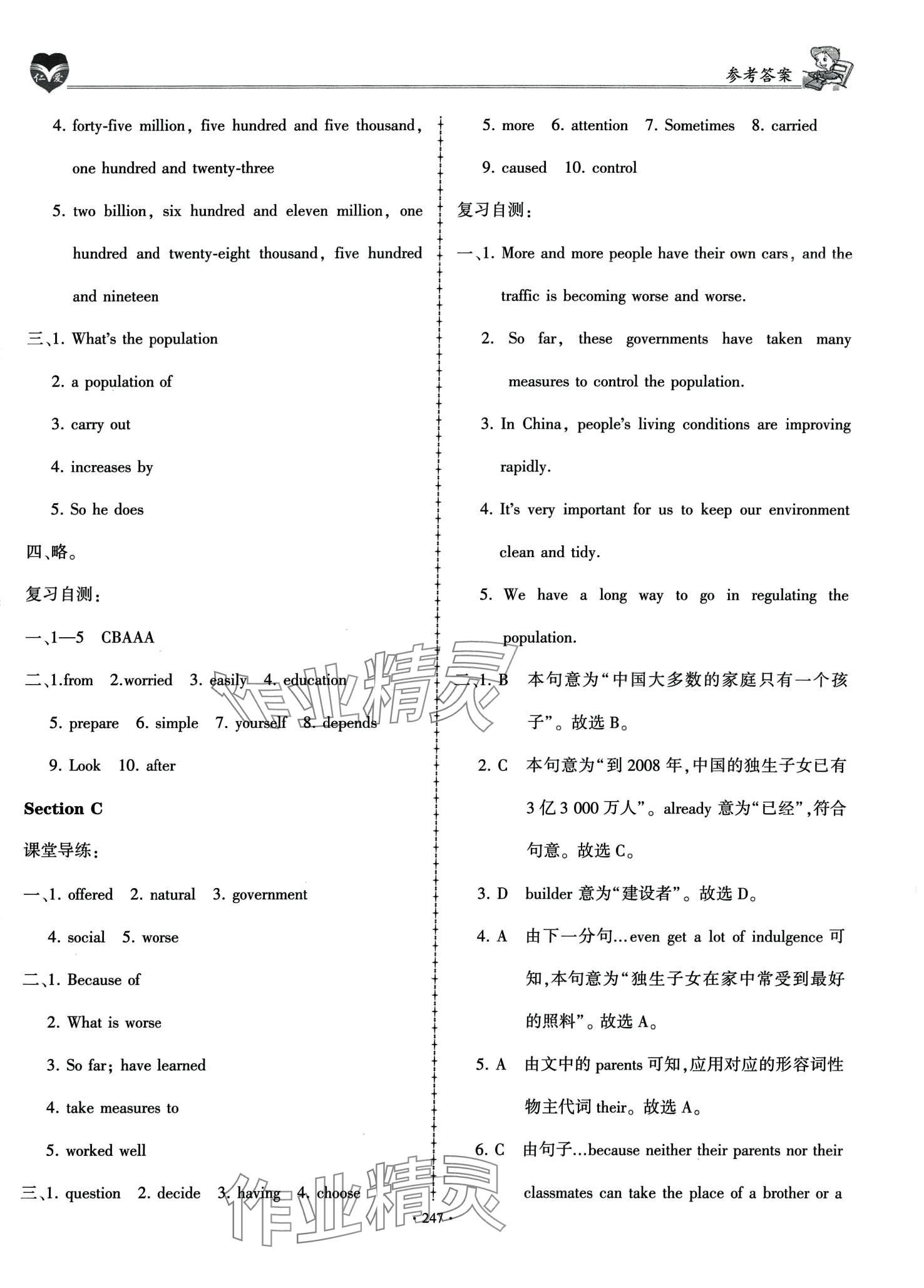 2024年仁爱英语同步学案九年级全一册仁爱版 第21页