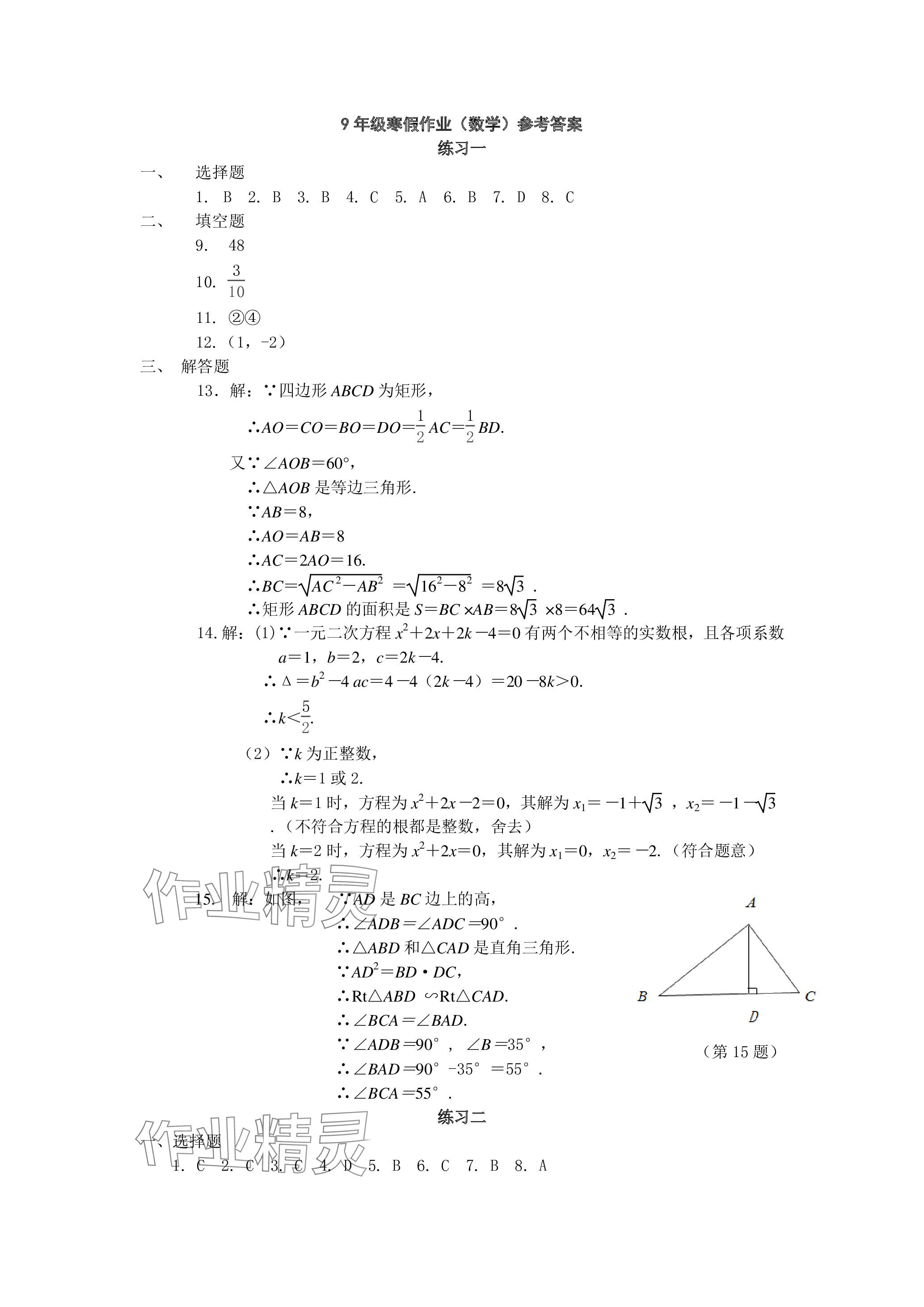 2024年鹏教图书精彩假期寒假篇九年级 参考答案第7页