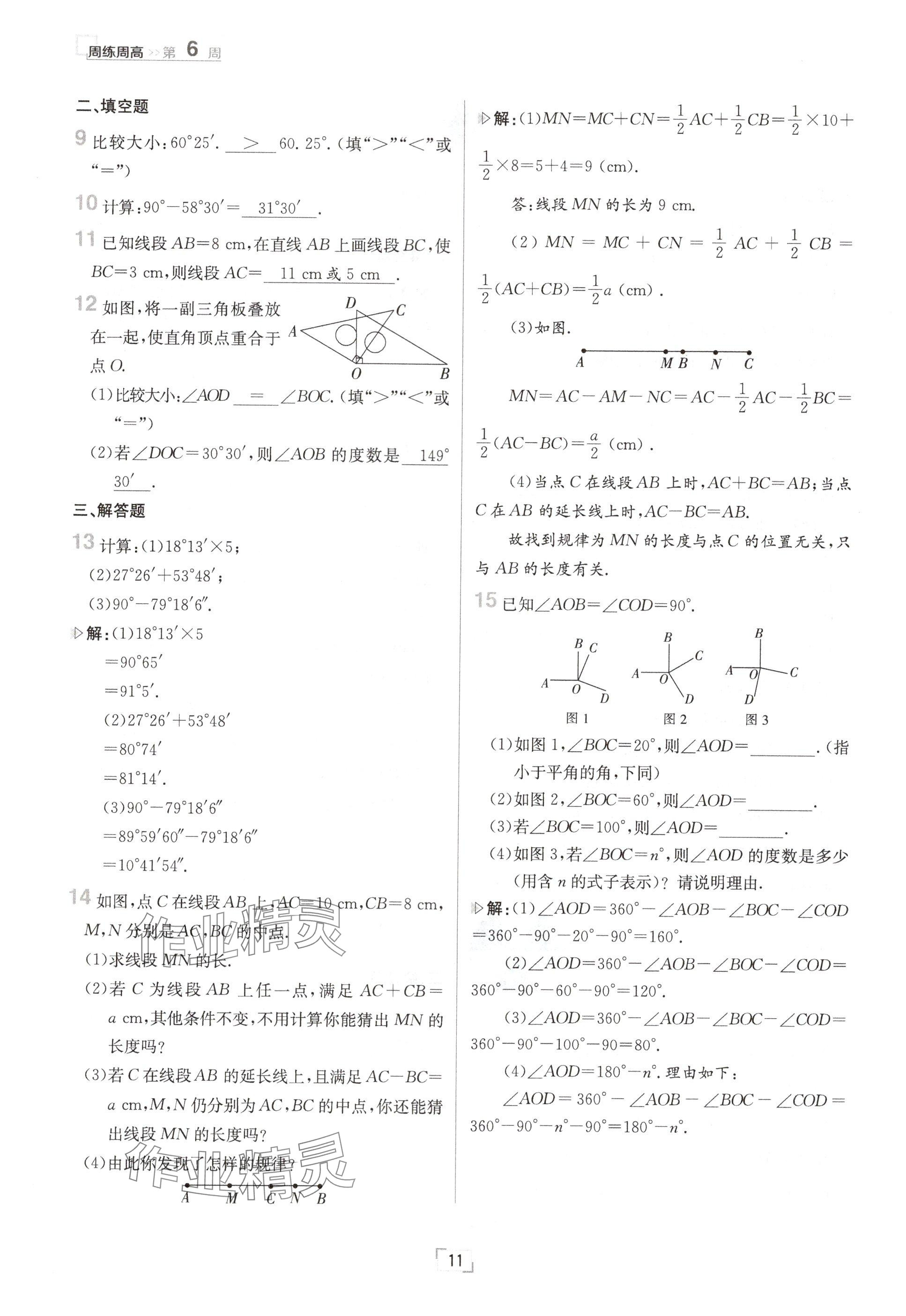 2024年日清周練七年級數(shù)學(xué)上冊冀教版 參考答案第11頁