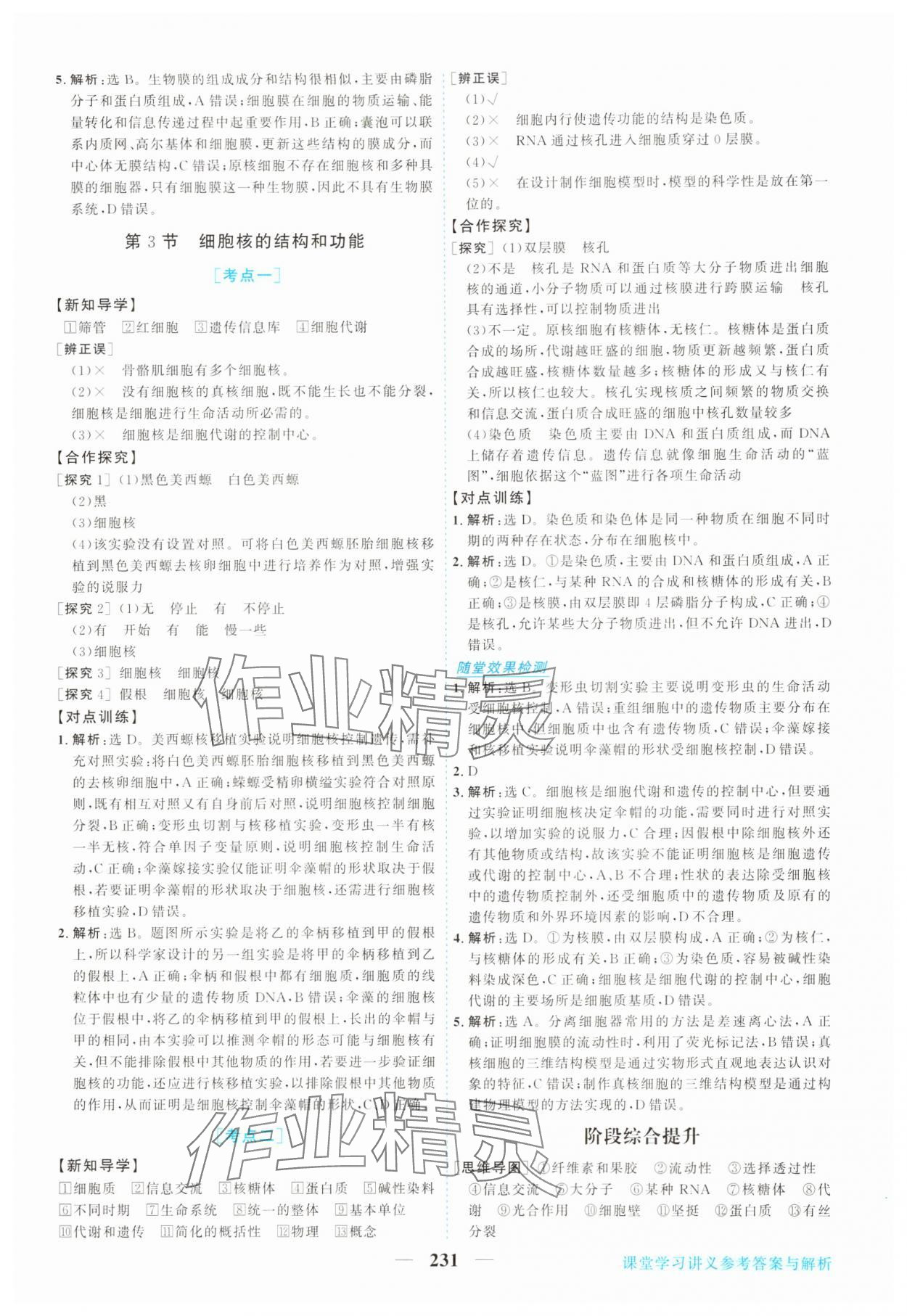 2025年新坐标同步练习高中生物必修第一册人教版 第11页