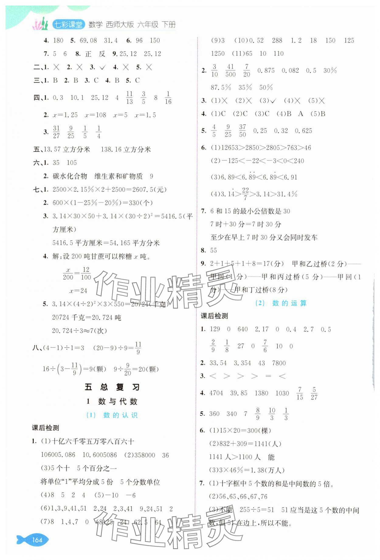 2025年七彩課堂六年級數(shù)學下冊西師大版 參考答案第7頁