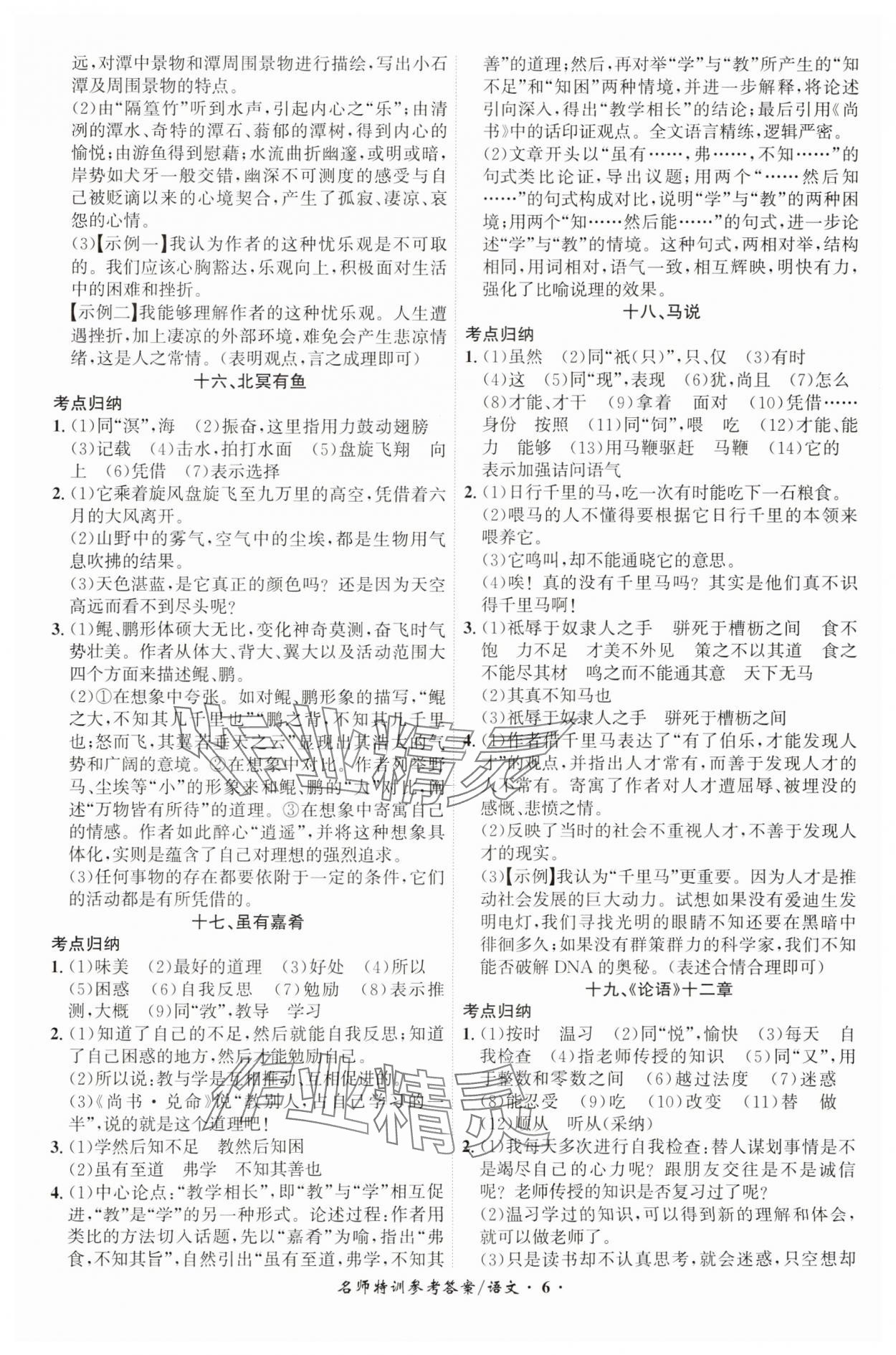 2025年名師特訓語文安徽專版 第6頁