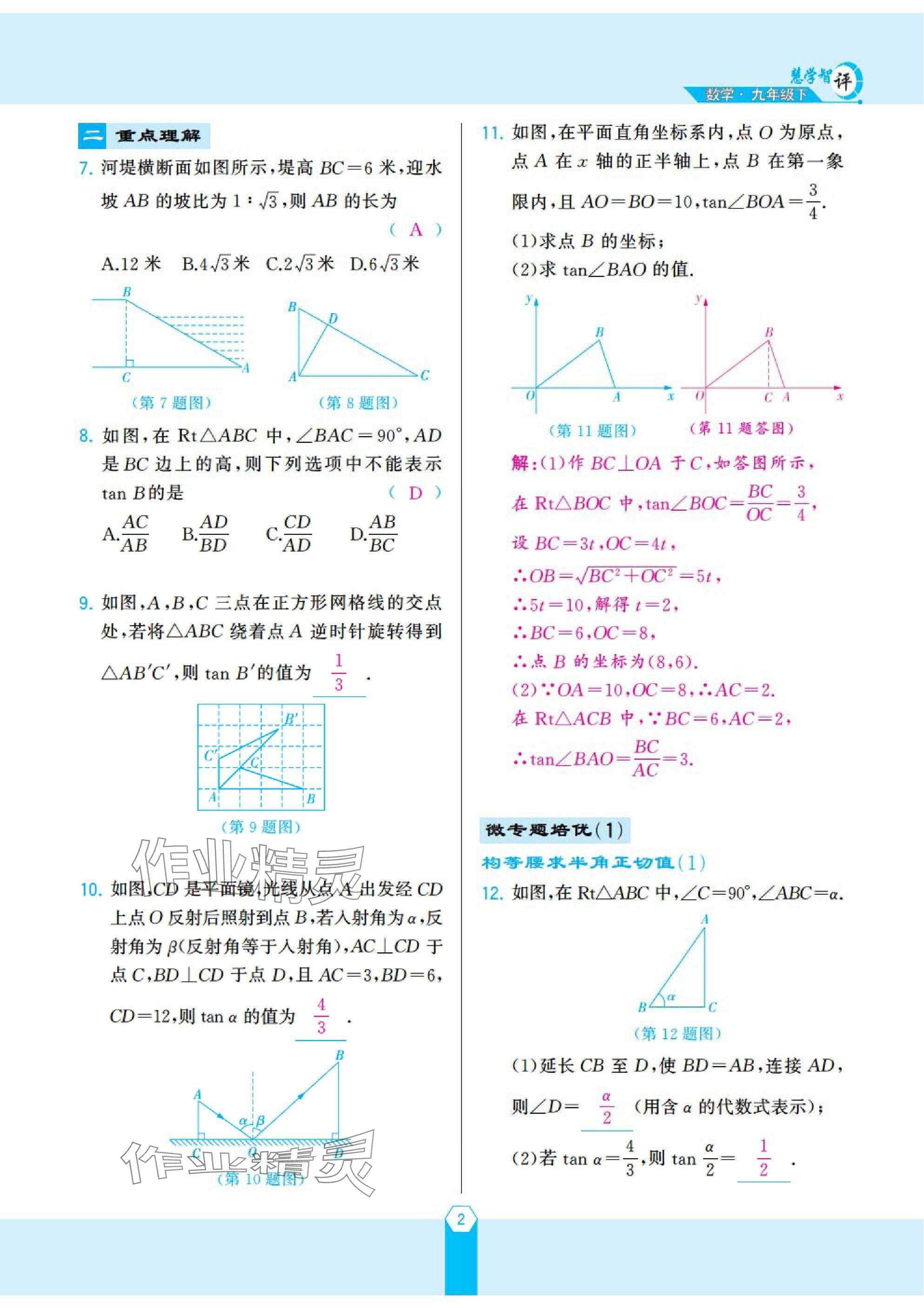 2025年慧学智评九年级数学下册北师大版 参考答案第2页