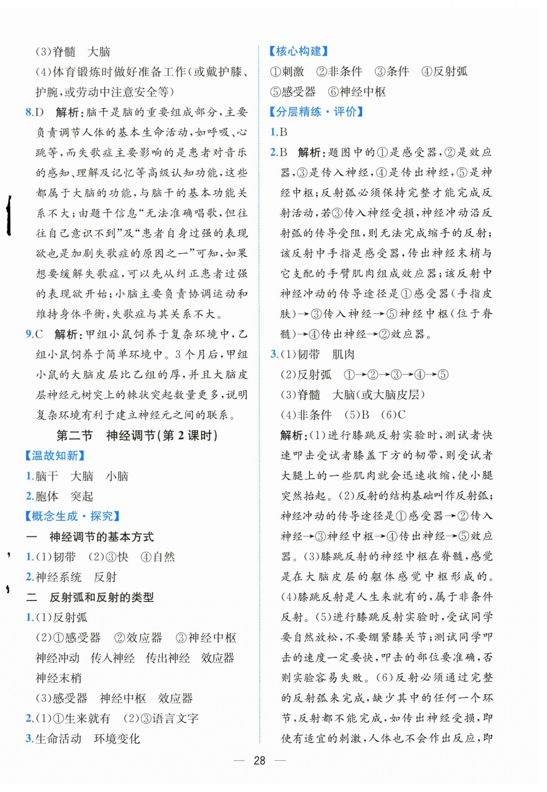 2025年课时练人民教育出版社八年级生物上册人教版 第4页