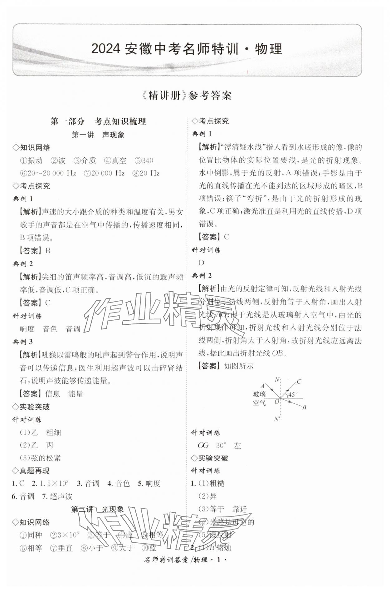 2024年名師特訓物理安徽專版 第1頁