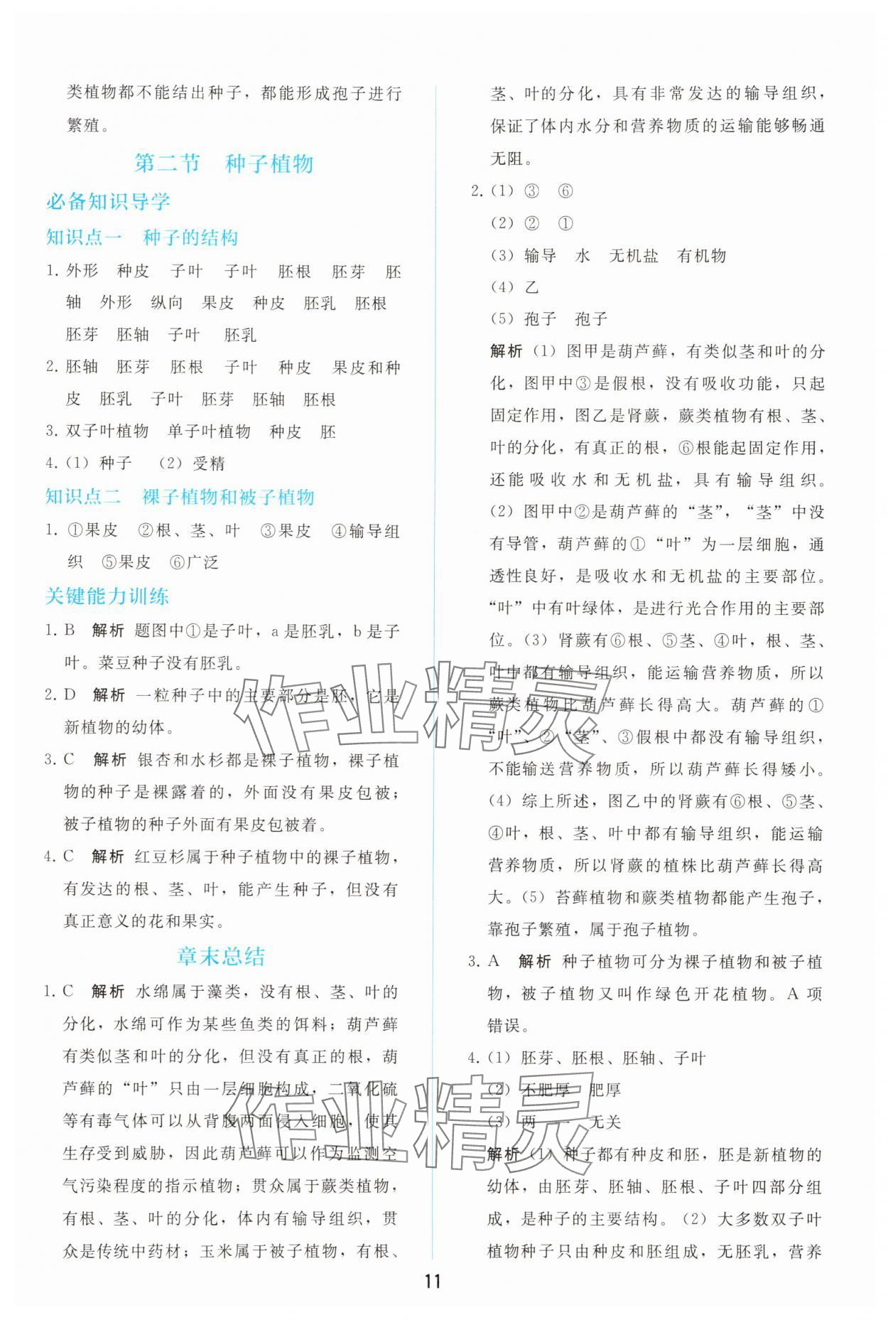 2025年同步轻松练习七年级生物上册人教版 参考答案第10页