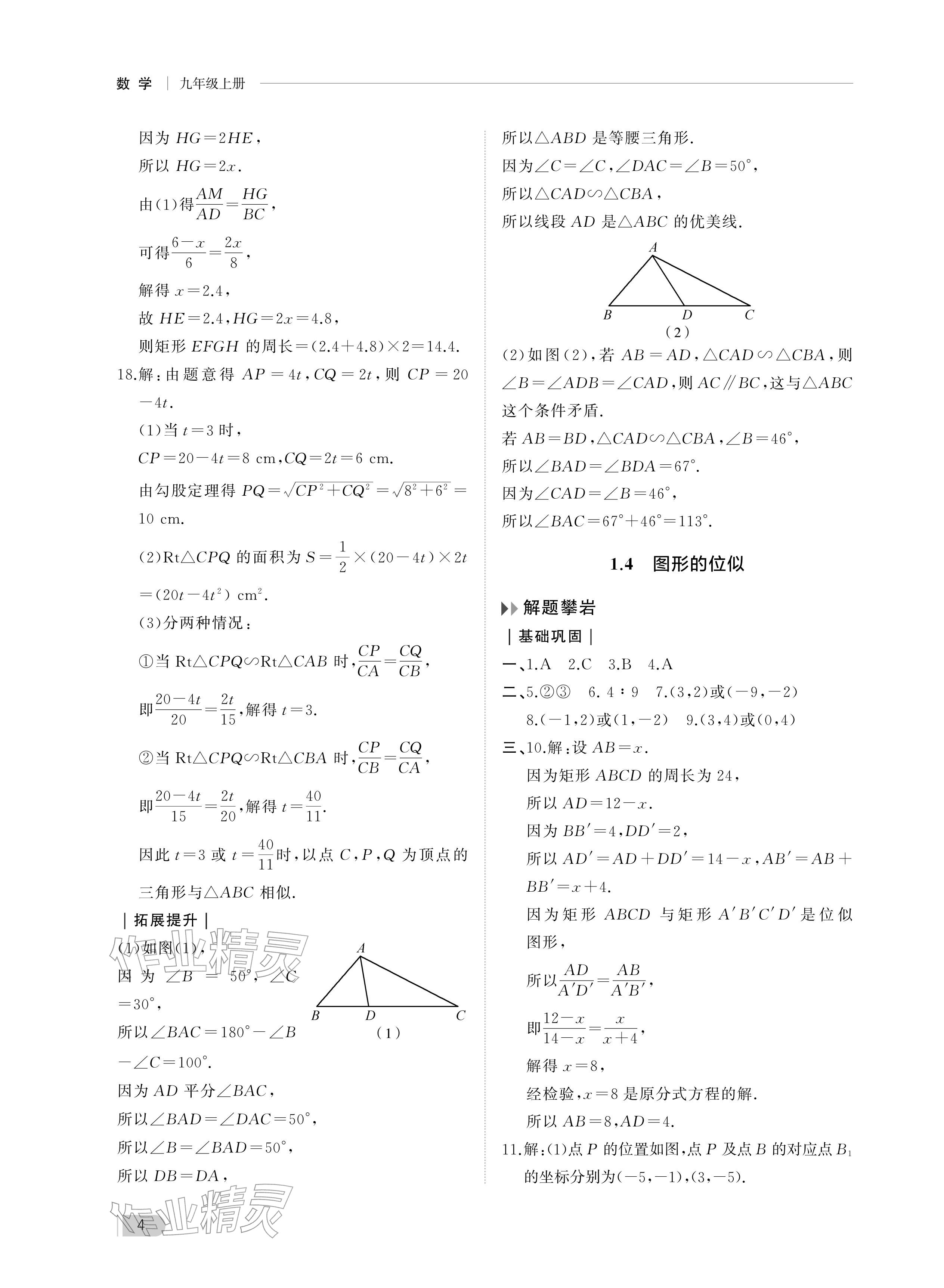 2025年行知天下九年級(jí)數(shù)學(xué)上冊(cè)青島版&nbsp;參考答案第4頁