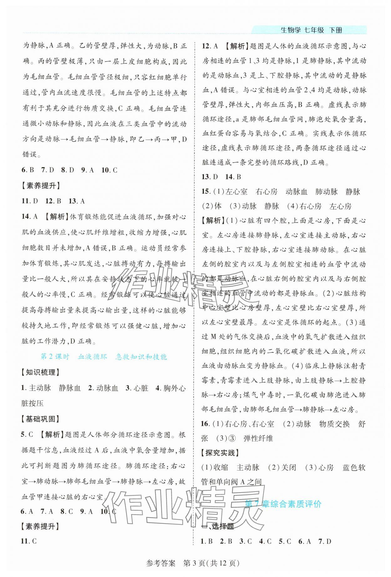 2025年新课程同步学案七年级生物下册北师大版 参考答案第3页