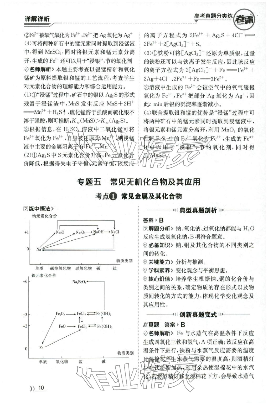 2026年卷霸高考真题分类练化学 第10页