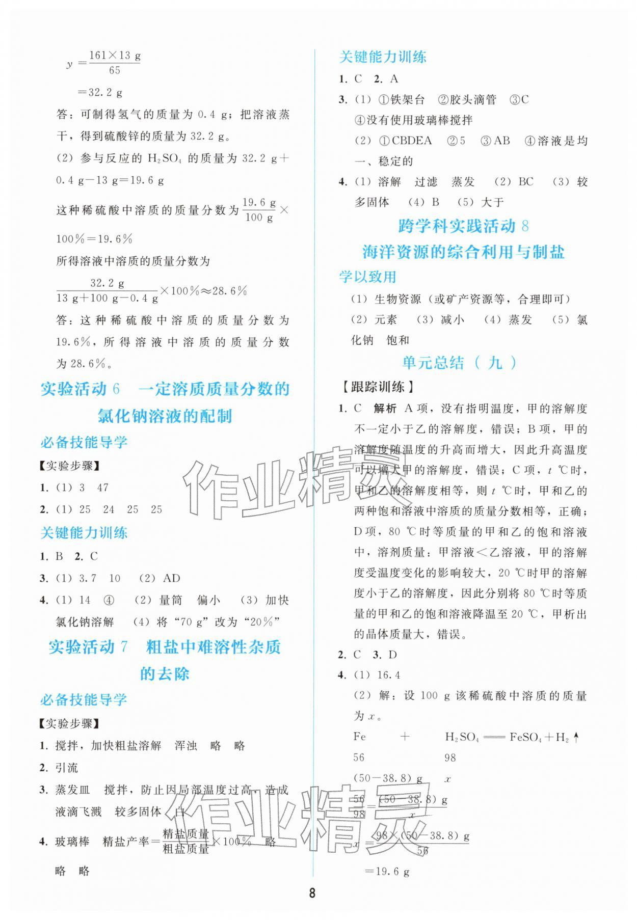 2026年同步轻松练习九年级化学下册人教版&nbsp;第8页
