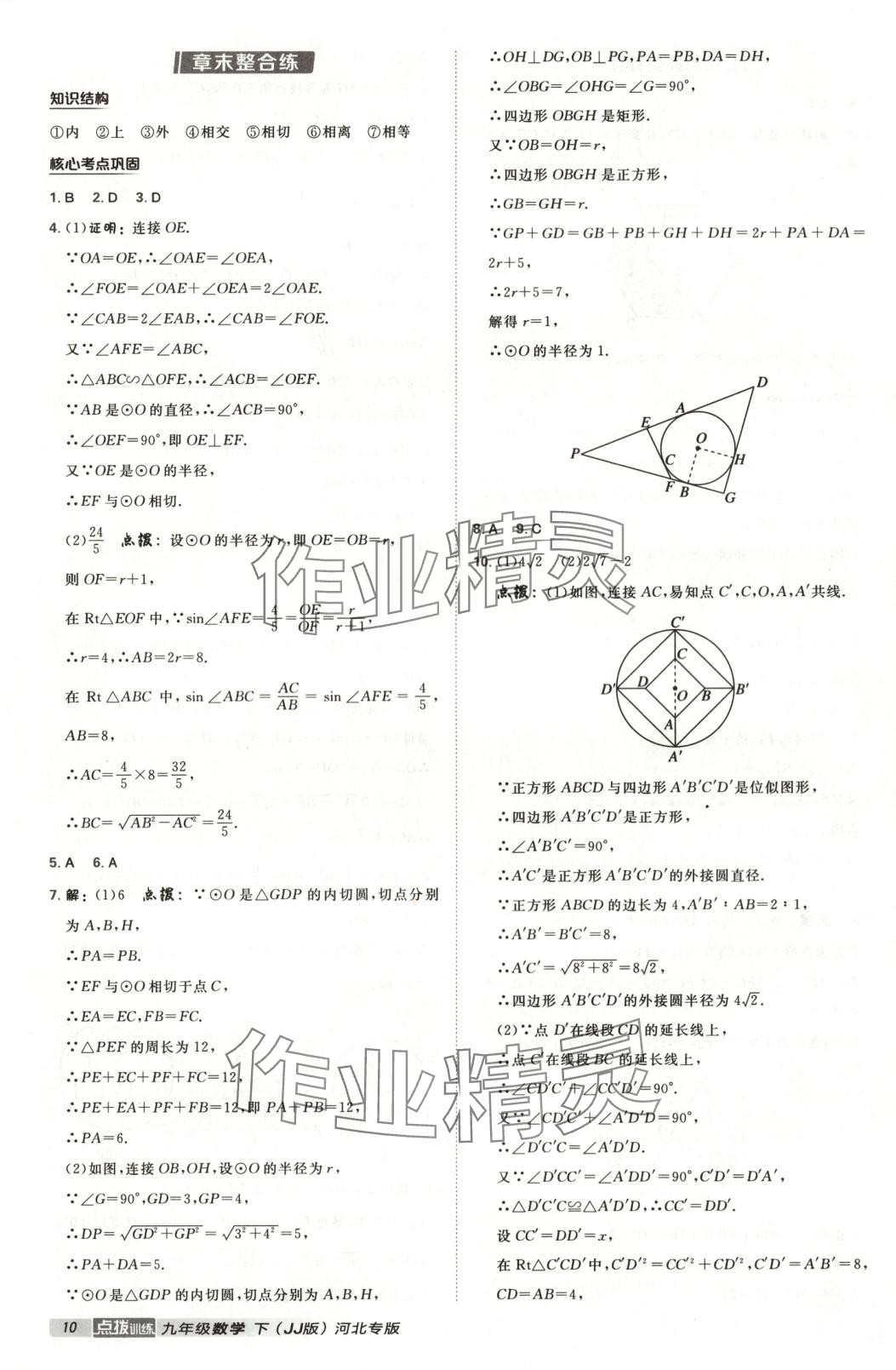 2025年点拨训练九年级数学下册冀教版 第10页