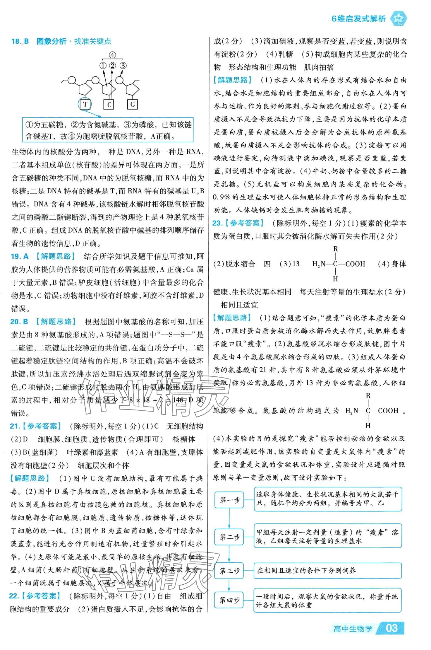 2024年金考卷活頁(yè)題選高中生物必修1人教版 參考答案第3頁(yè)