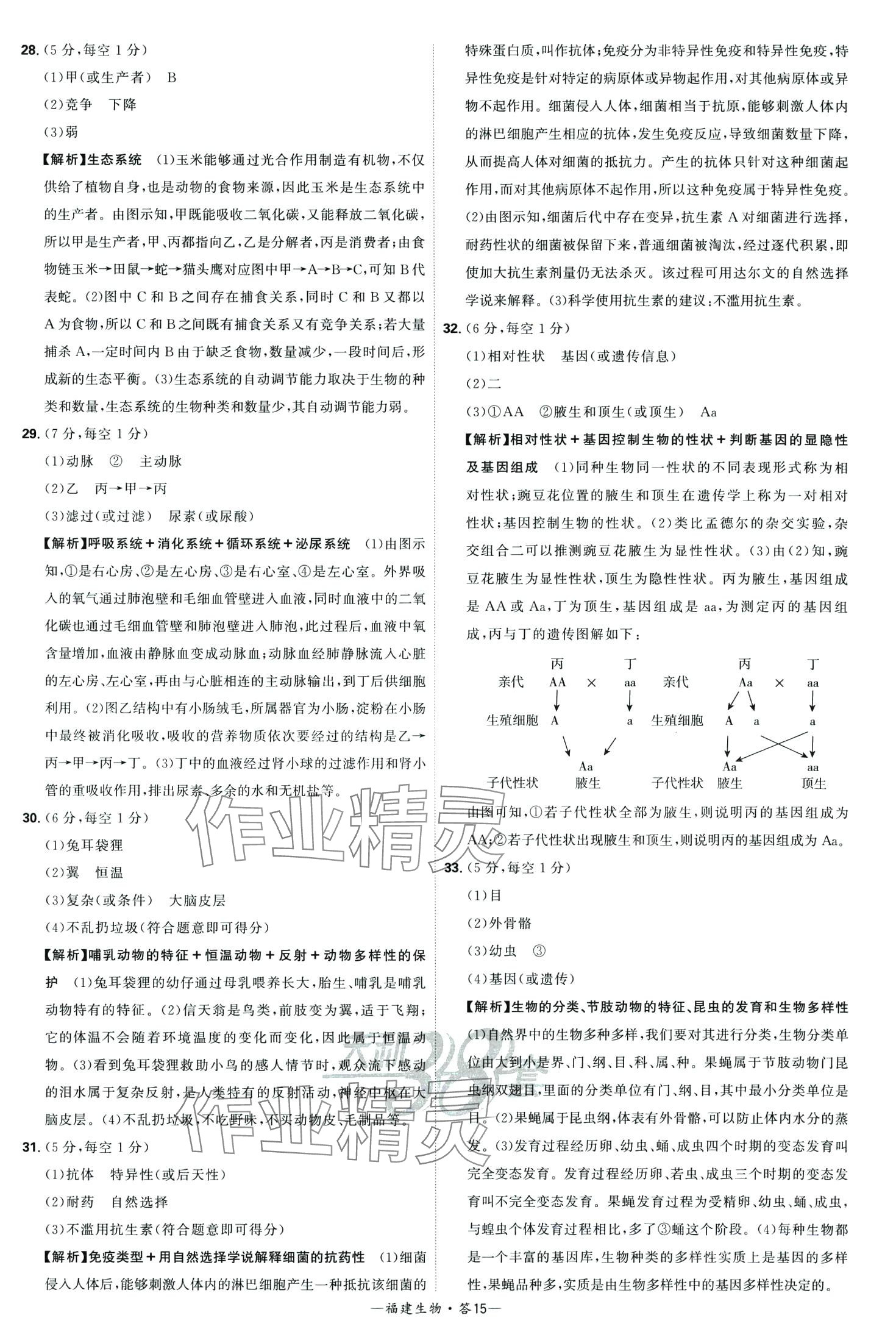 2024年天利38套中考試題精選生物中考福建專版 第17頁(yè)