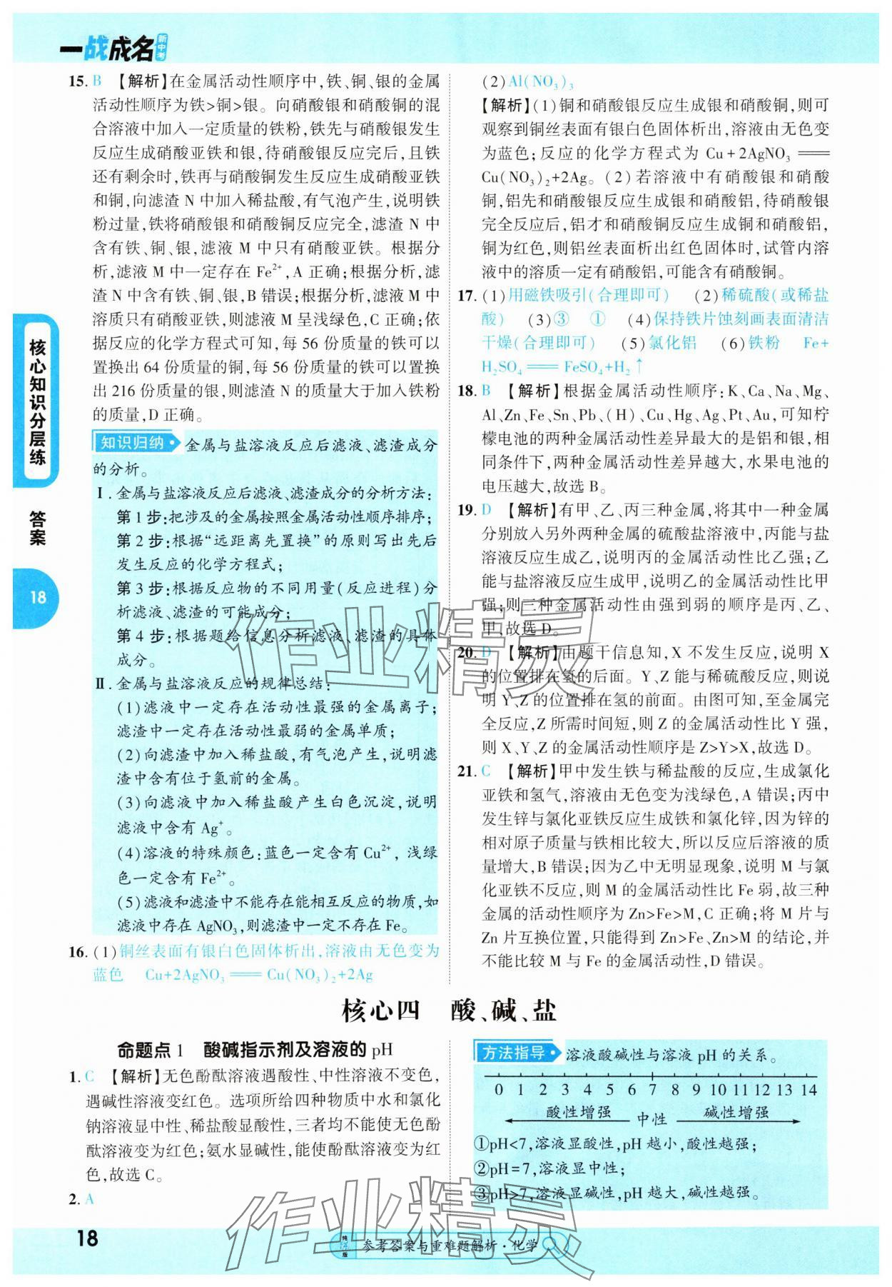 2025年純練版總復(fù)習(xí)化學(xué) 第18頁
