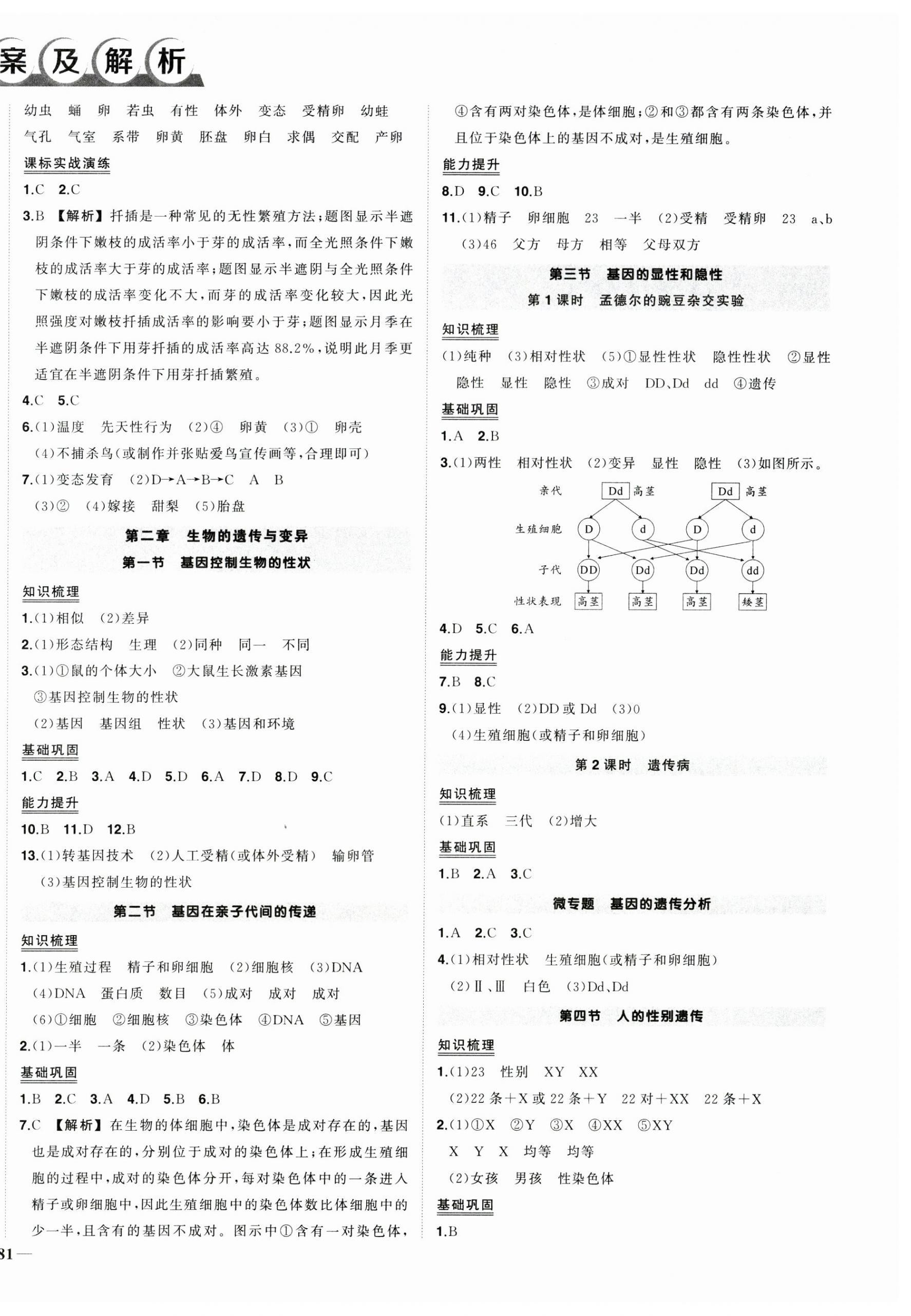 2025年?duì)钤刹怕穭?chuàng)優(yōu)作業(yè)八年級(jí)生物下冊(cè)人教版 第2頁(yè)