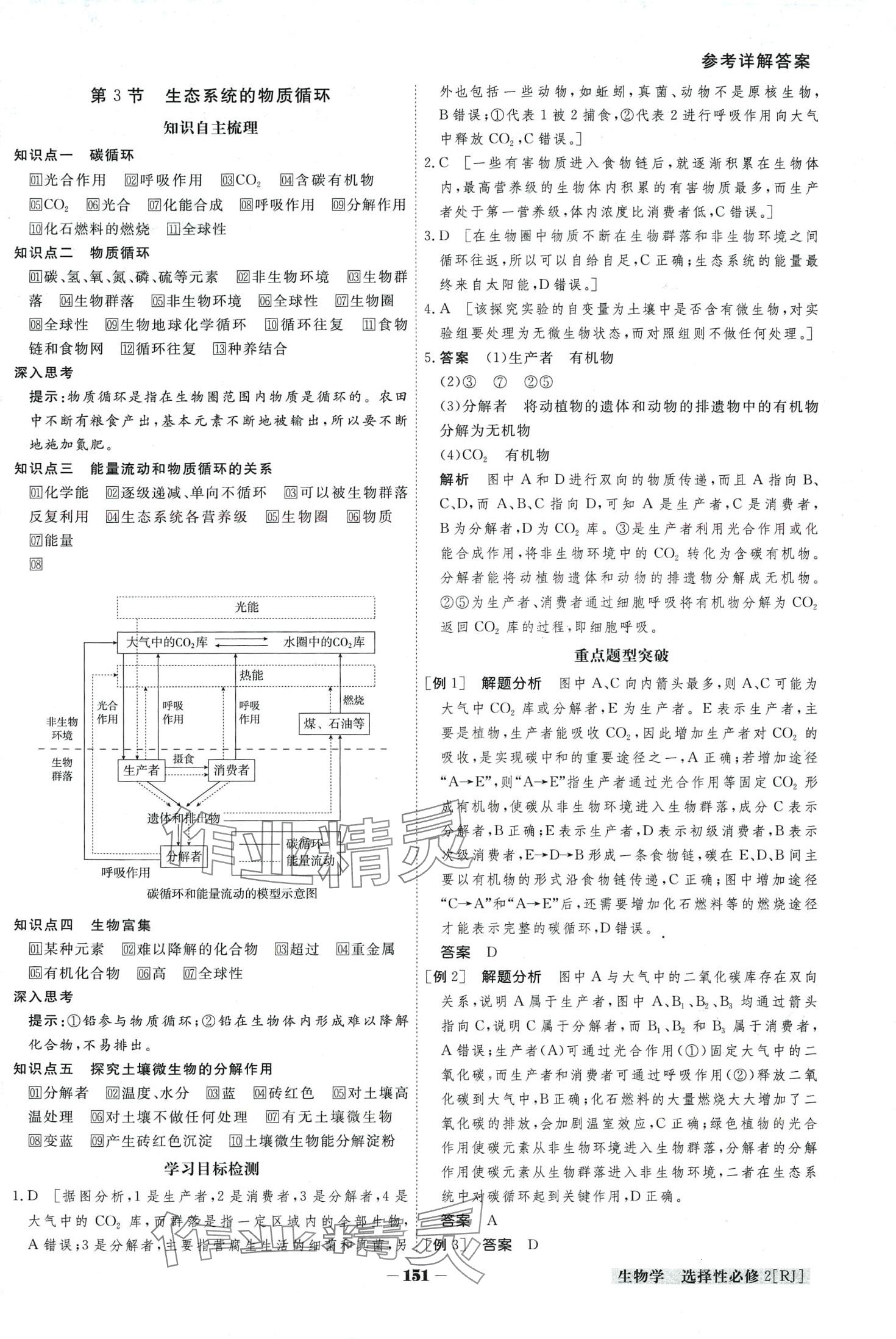 2024年金版教程高中新課程創(chuàng)新導學案高中生物選擇性必修2人教版 第8頁