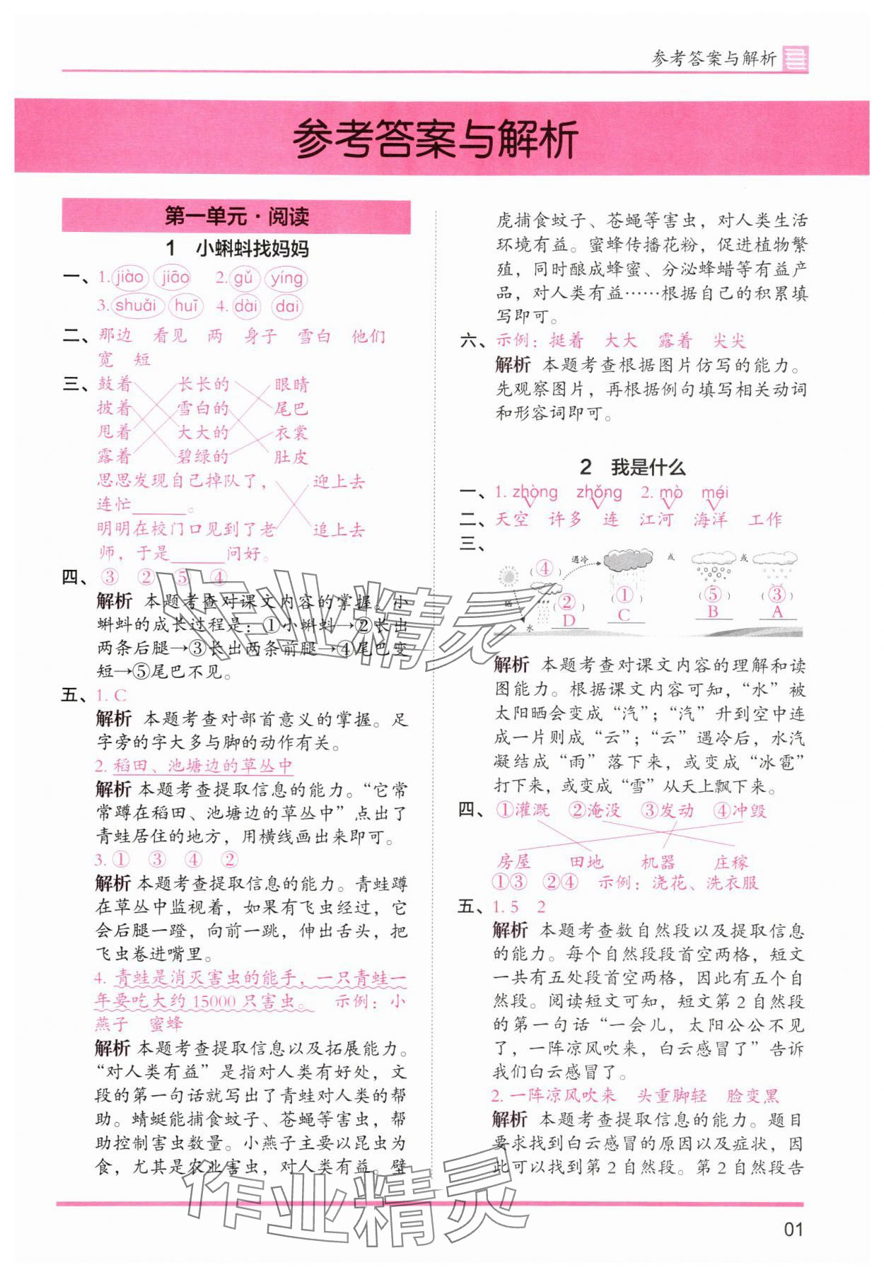 2025年木头马分层课课练二年级语文上册人教版浙江专版 第1页