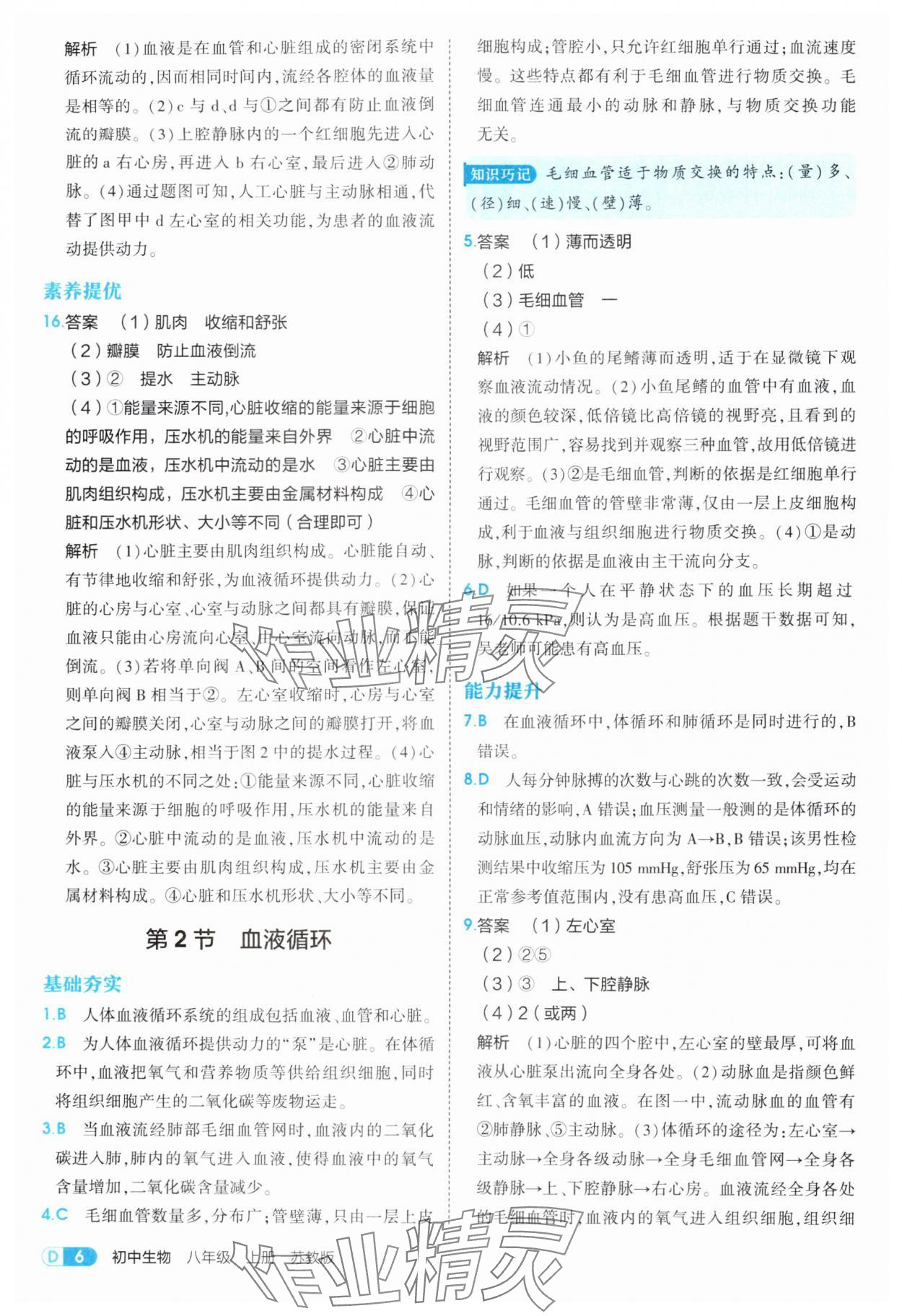 2025年5年中考3年模擬八年級(jí)生物上冊(cè)蘇教版 第6頁
