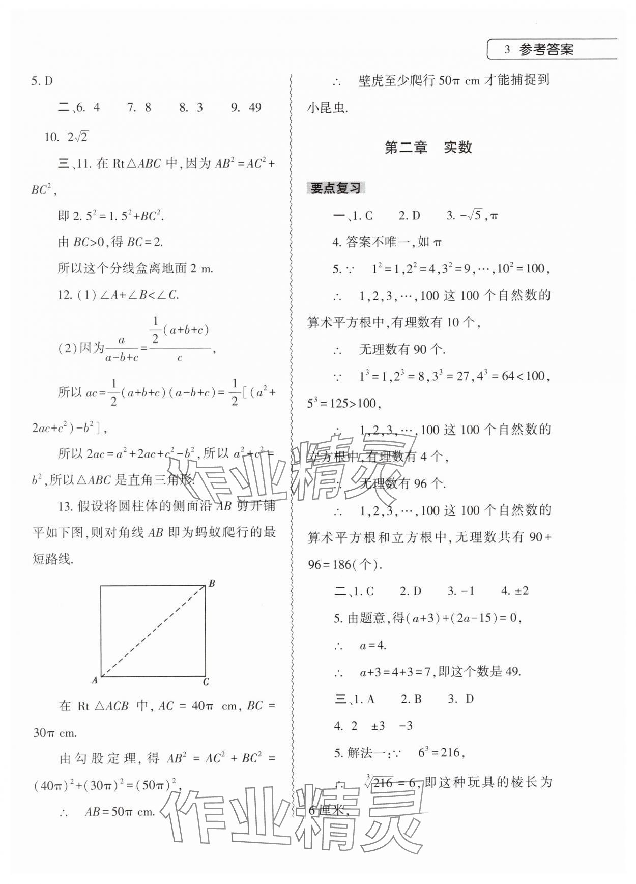 2025年數學寒假作業(yè)本八年級北師大版大象出版社 第3頁