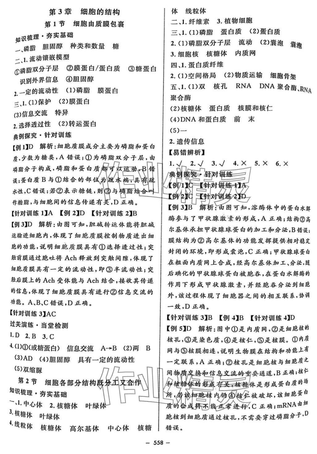 2024年鐘書金牌金典導(dǎo)學案高三生物滬教版上海專版 第4頁