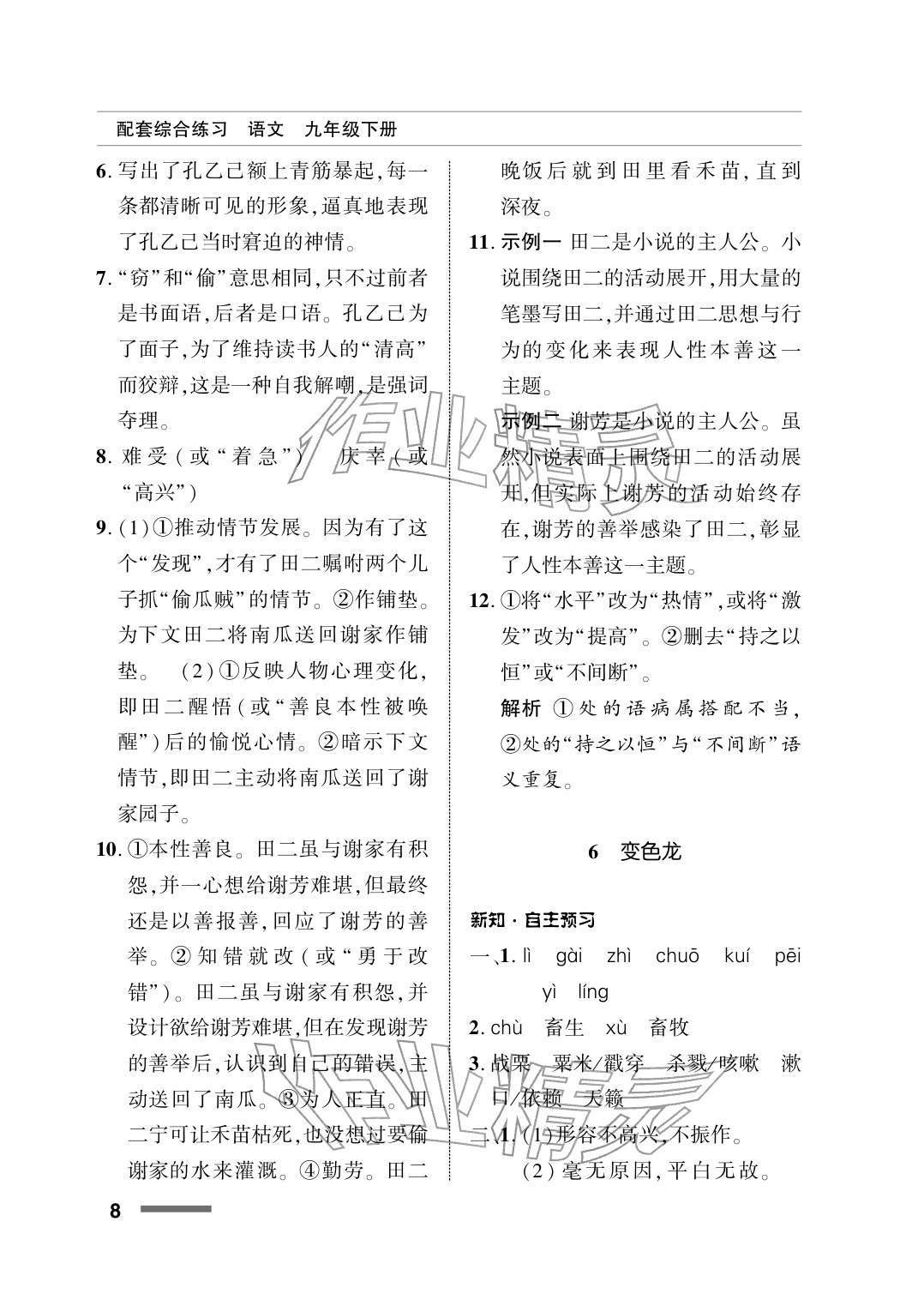 2026年配套综合练习甘肃九年级语文下册人教版&nbsp;参考答案第8页