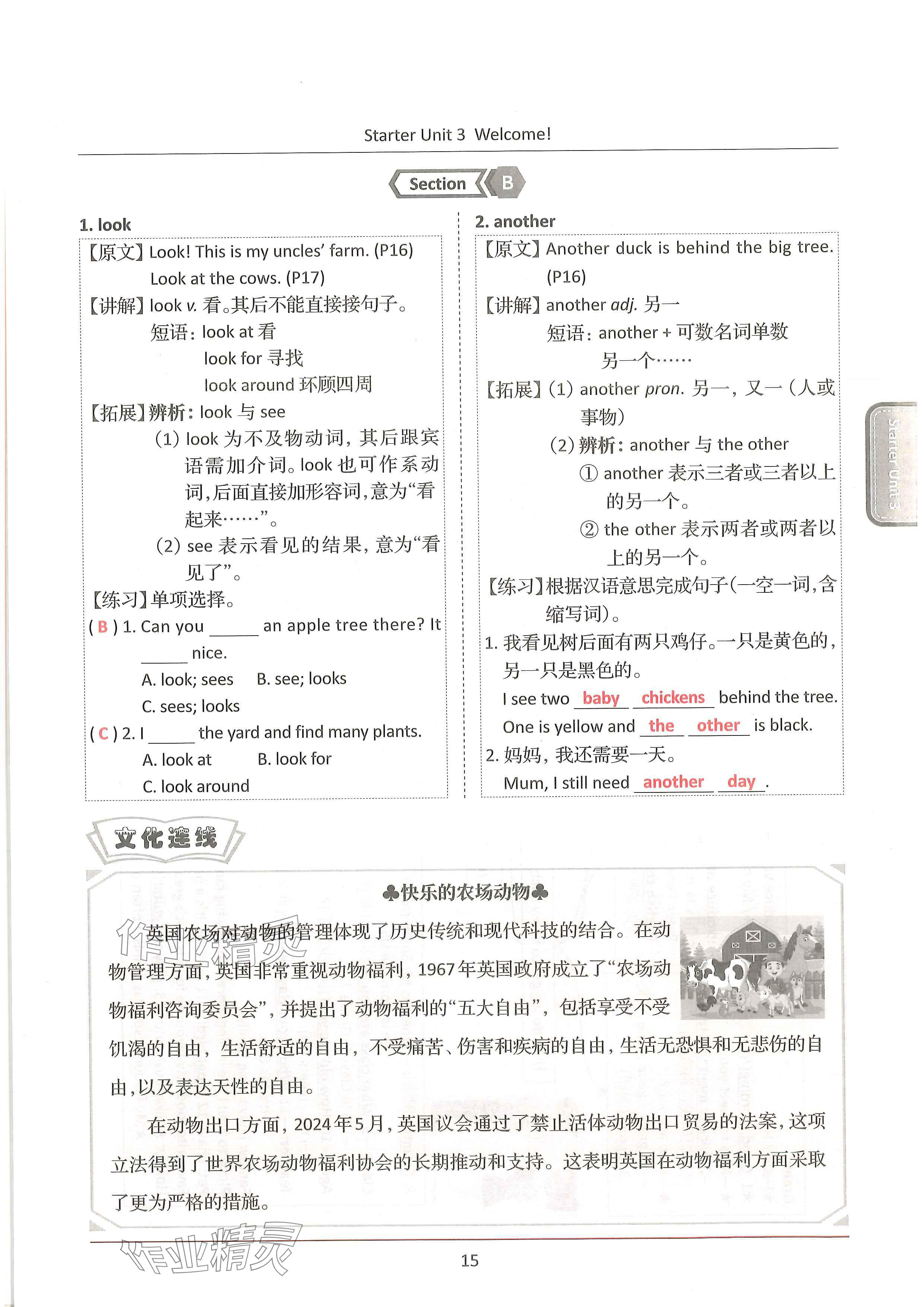 2024年新视界单元复习七年级英语上册人教版&nbsp;参考答案第15页