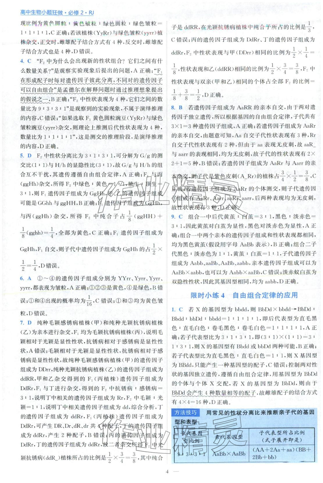 2025年小题狂做高中生物必修第二册人教版 第4页