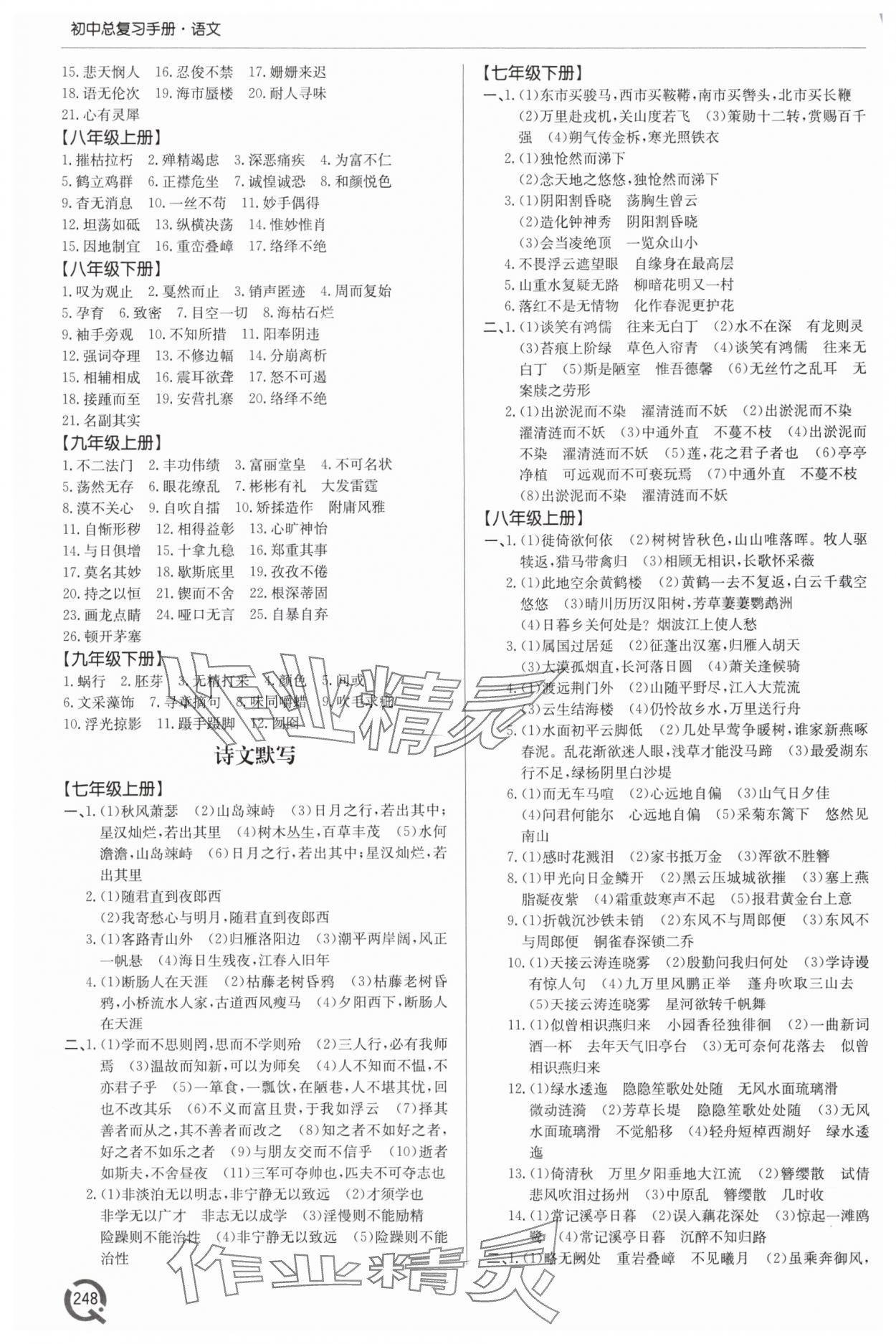 2025年初中總復(fù)習(xí)手冊青島出版社語文 第2頁