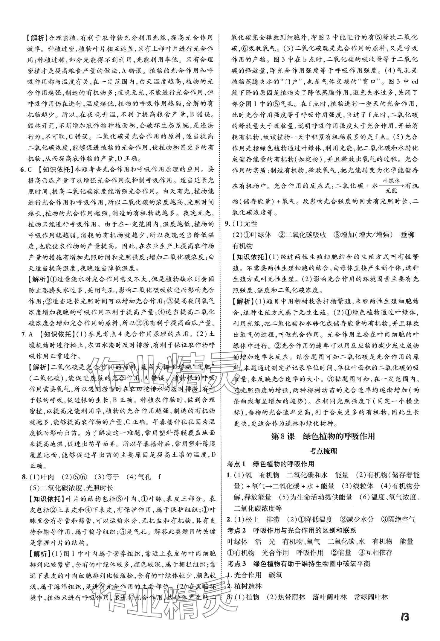 2024年一步名校中考总复习生物&nbsp;第13页