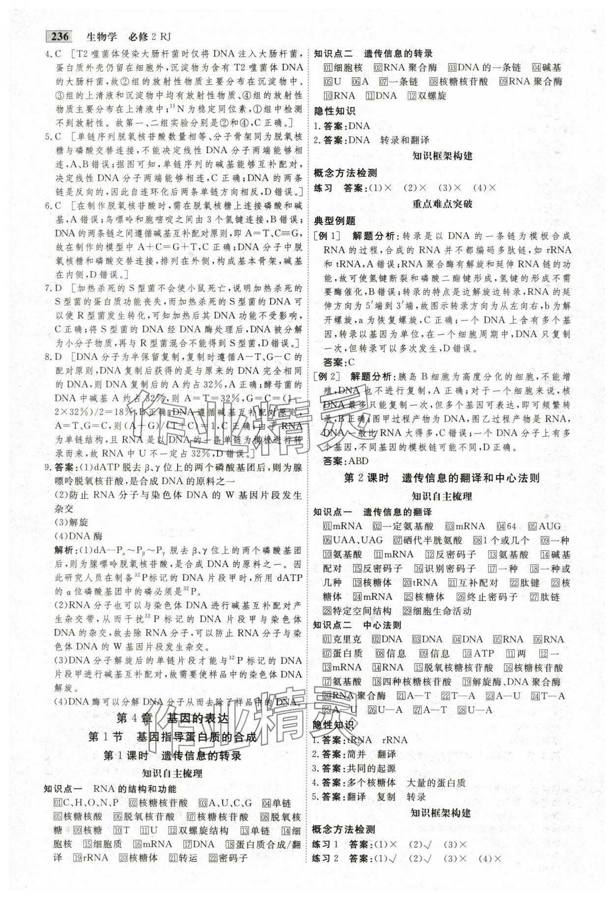 2025年金版教程高中新課程創新導學案生物必修2人教版 參考答案第14頁