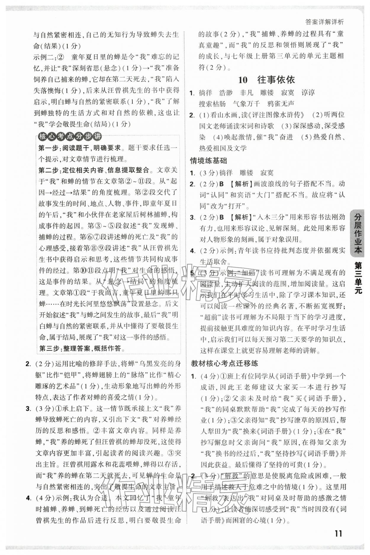 2025年万唯中考情境题七年级语文上册人教版广东专版 参考答案第11页