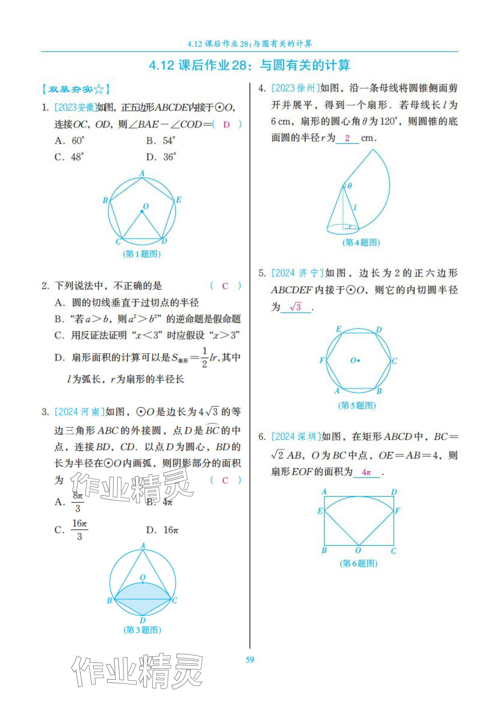2025年中考复习一本全数学北师大版深圳专版&nbsp;参考答案第59页