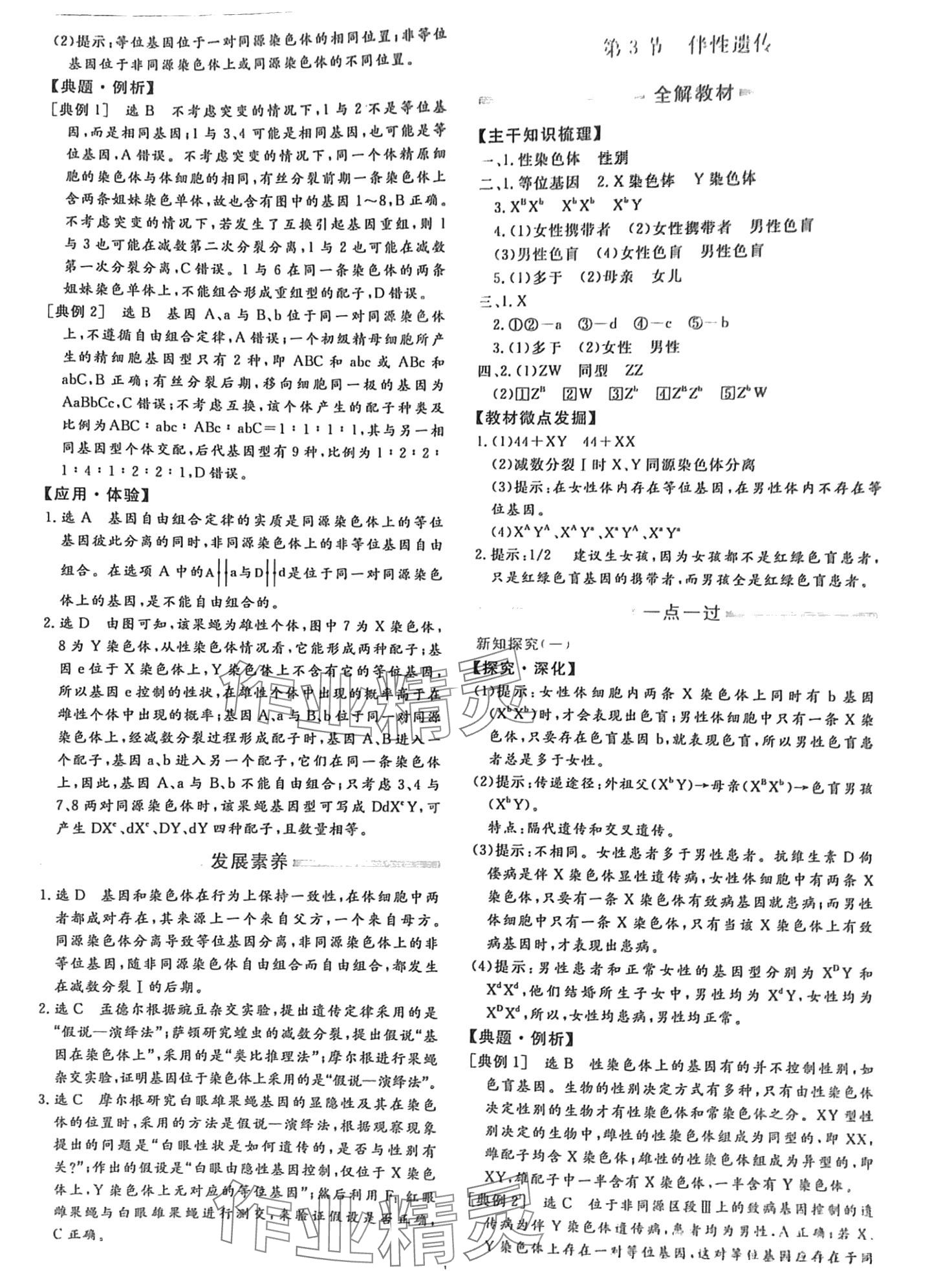 2024年芝麻開花美在課堂高中生物必修2人教版 第11頁