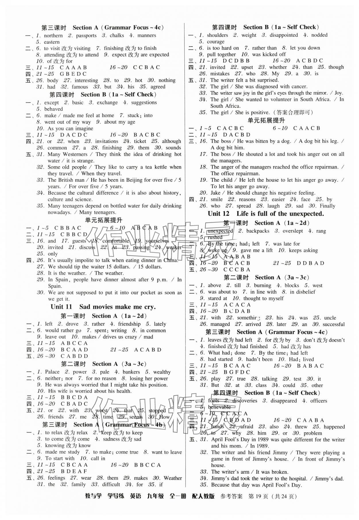 2024年教與學(xué)學(xué)導(dǎo)練九年級(jí)英語全一冊(cè)人教版 第19頁(yè)