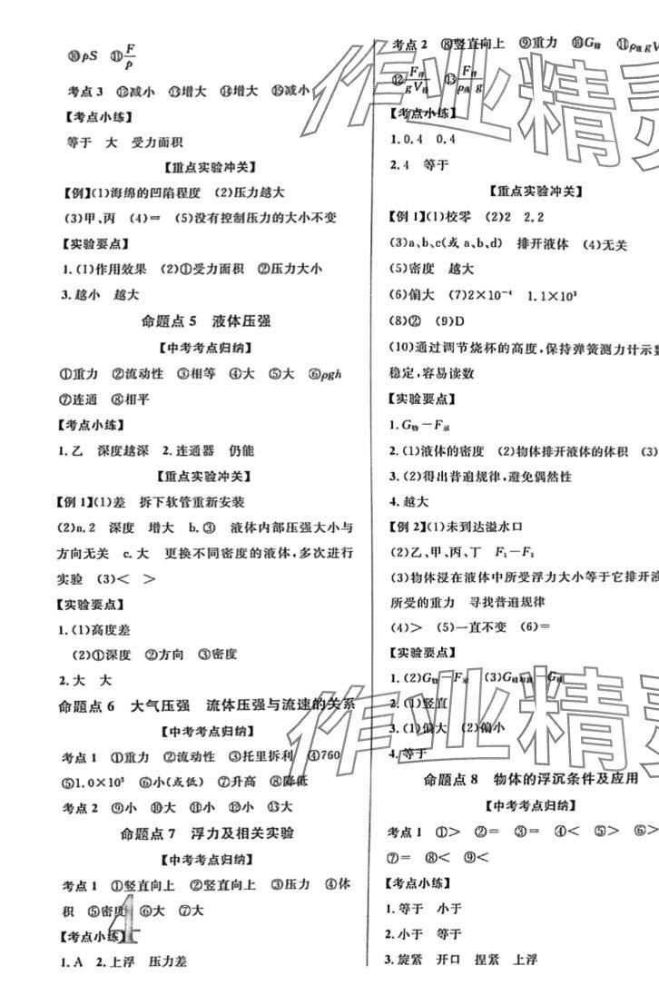 2024年初中新課標(biāo)全程復(fù)習(xí)方略物理中考 第7頁(yè)